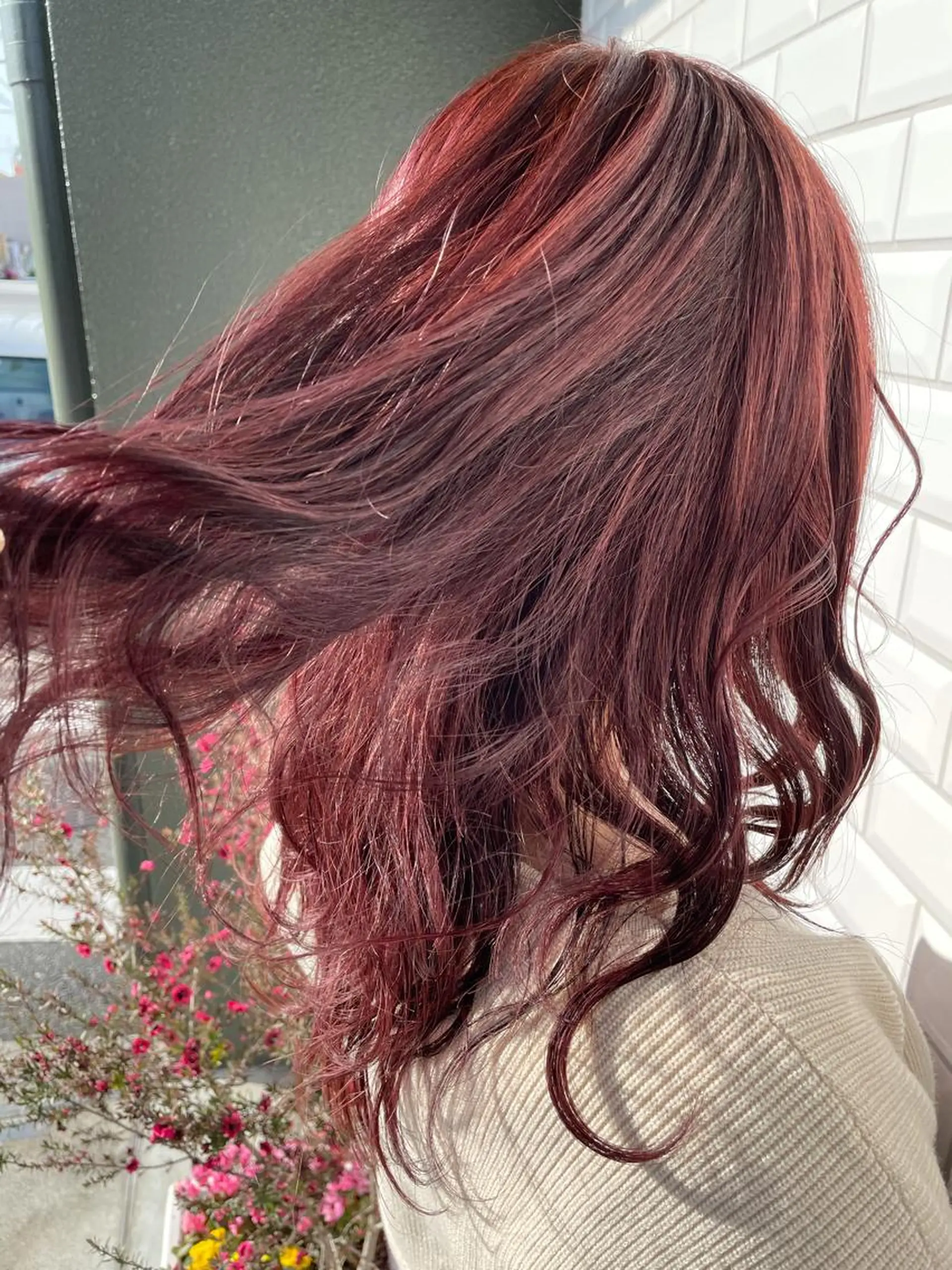 セミロング カラー ピンクカラー 🤍❄️水田 美雪❄️🤍のマツエク・マツパデザイン