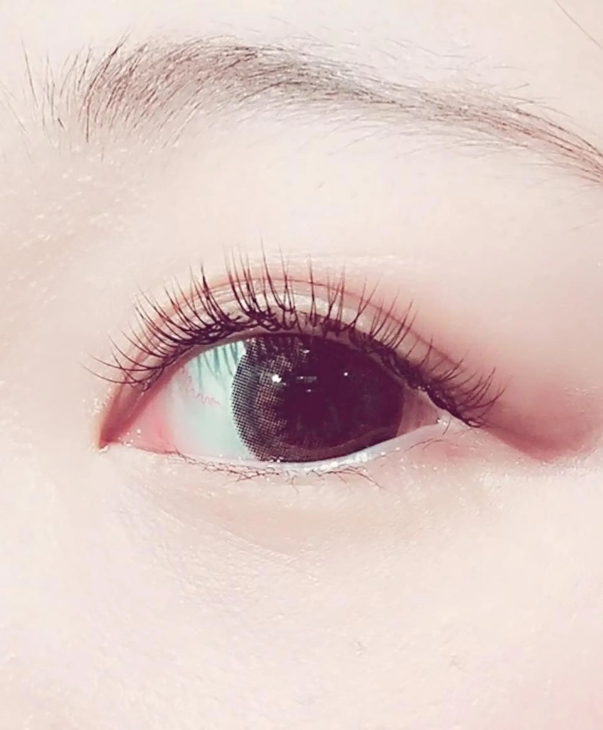 マツエク・マツパ キュート セーブル Rabbit MURAlのマツエク・マツパデザイン