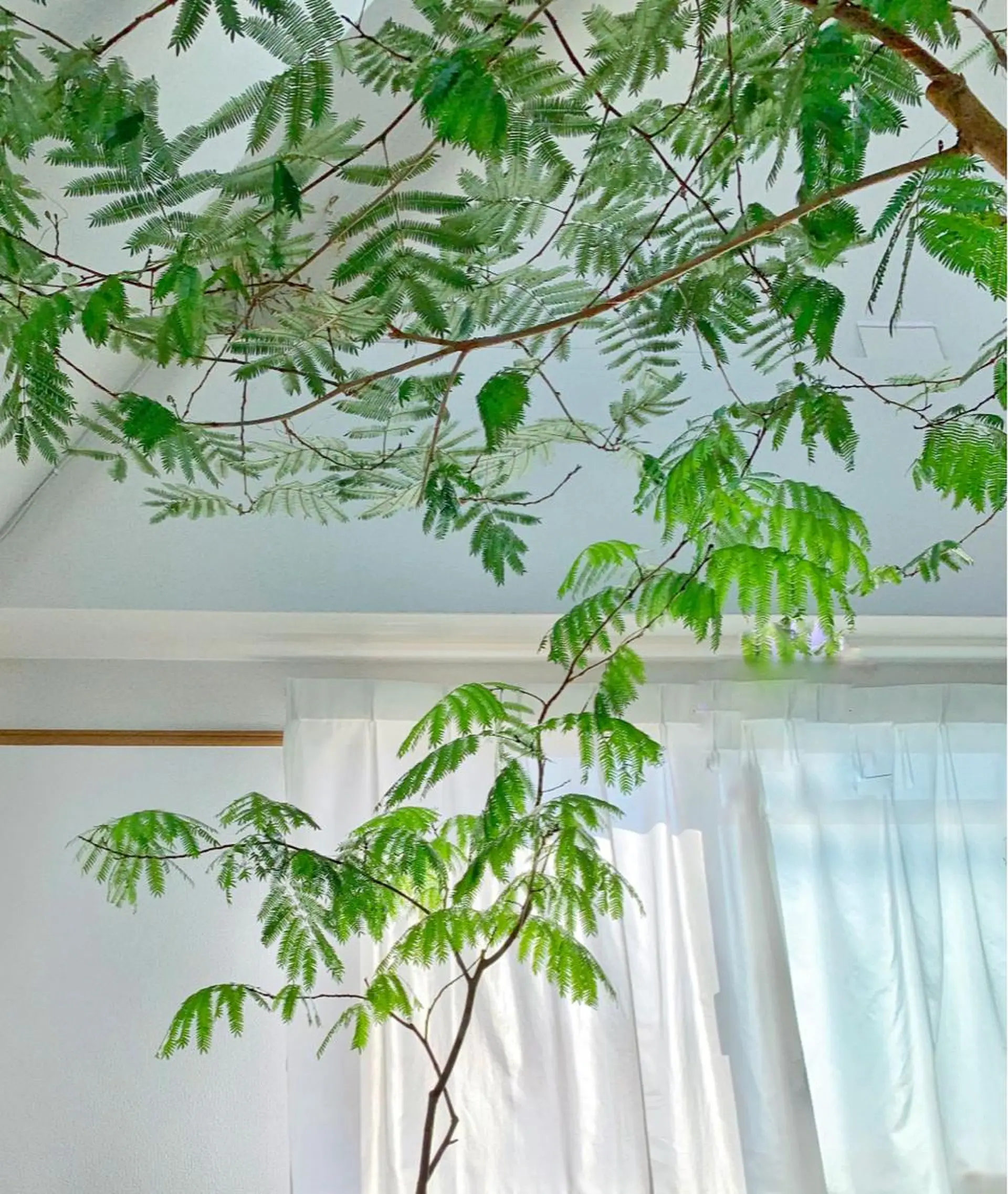 大阪・感覚から整う 体質改善サロンのエステ・リラクイメージ