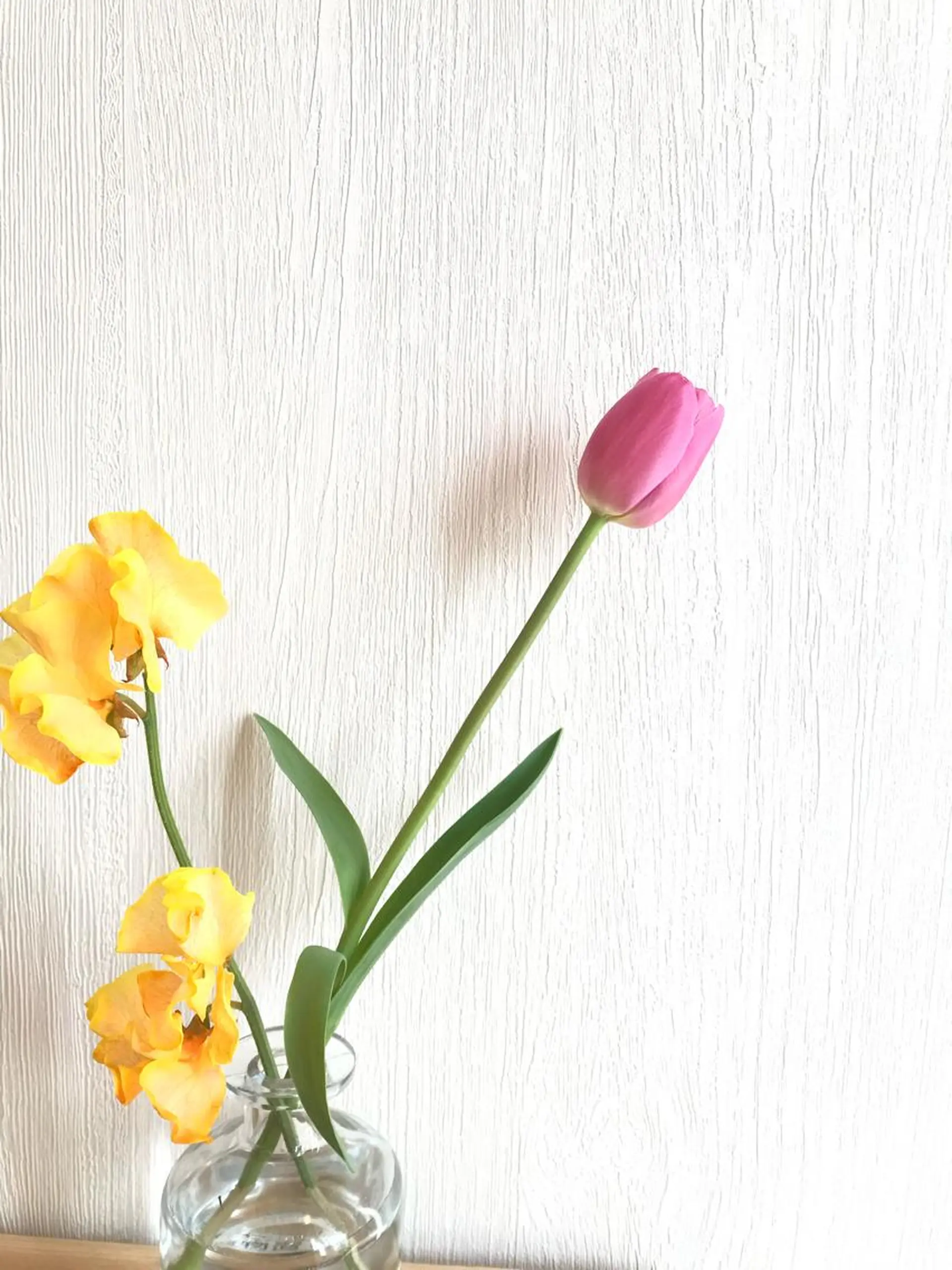 アイブロウ ｉ Ayanaのマツエク・マツパデザイン