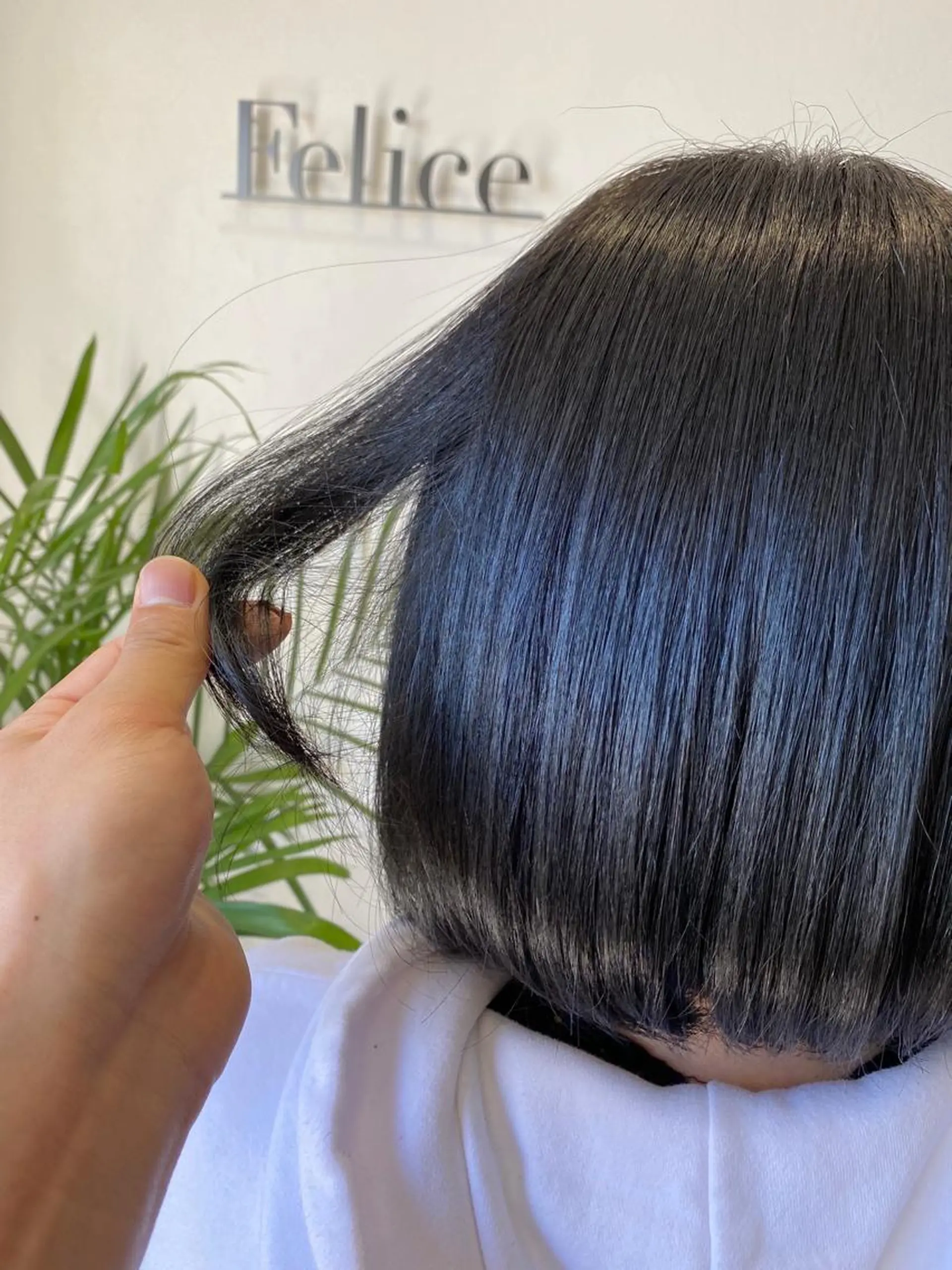 ショート 粕川 達哉のヘアスタイル