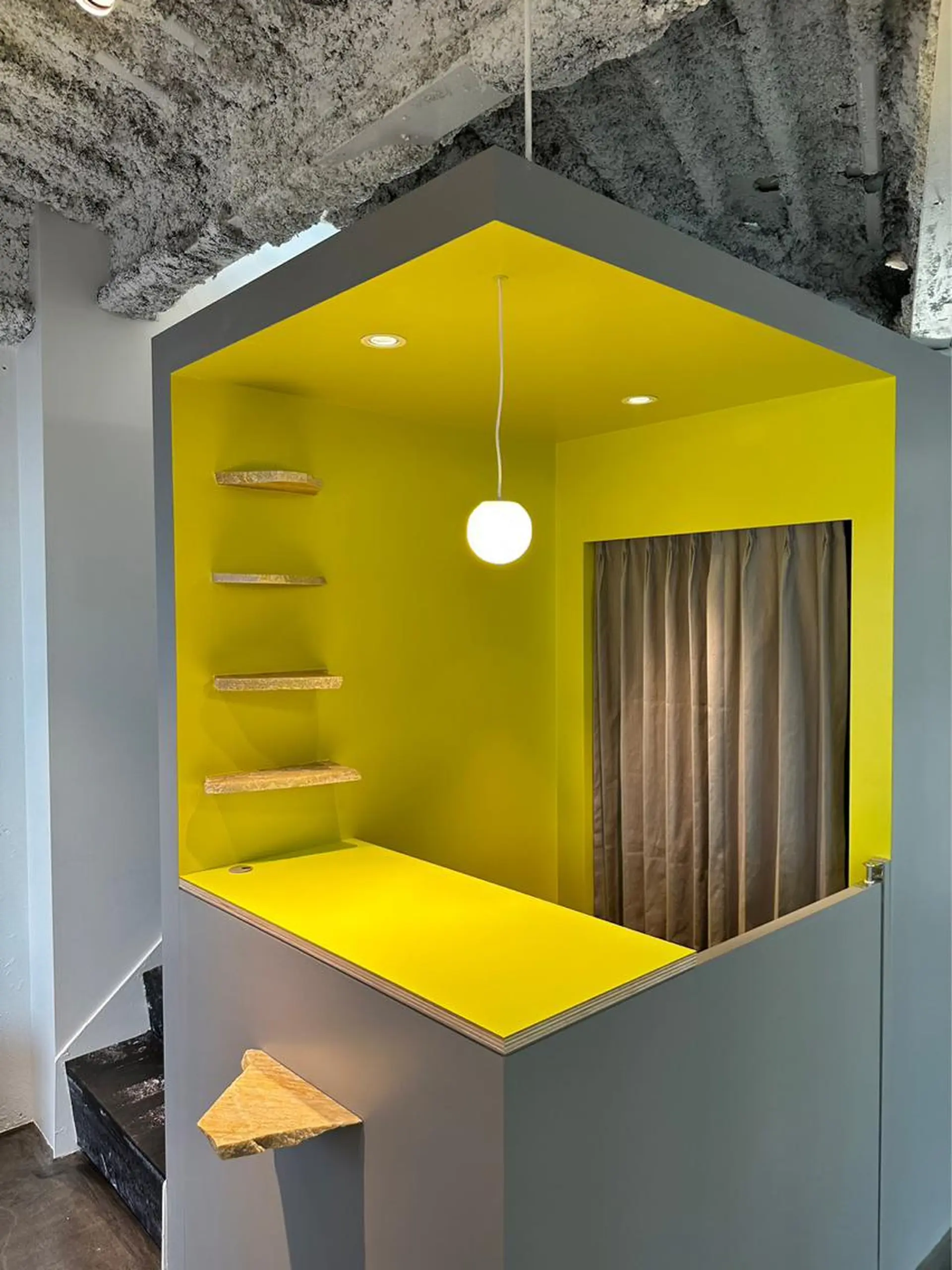 ショート カラー メンズ キッズ デザインカラー 原宿/キシタのヘアスタイル