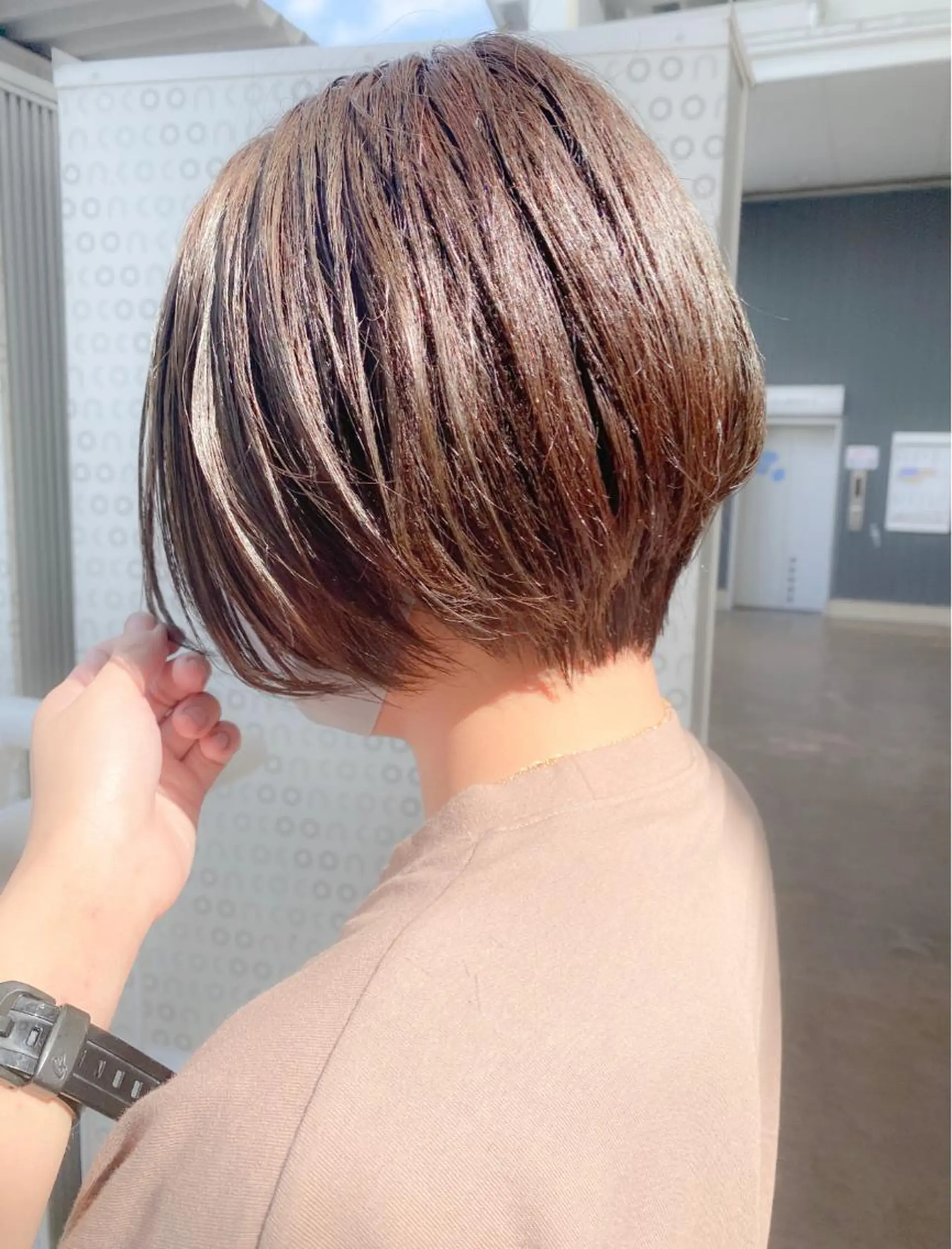 ショート カラー 大野 あさみのヘアスタイル