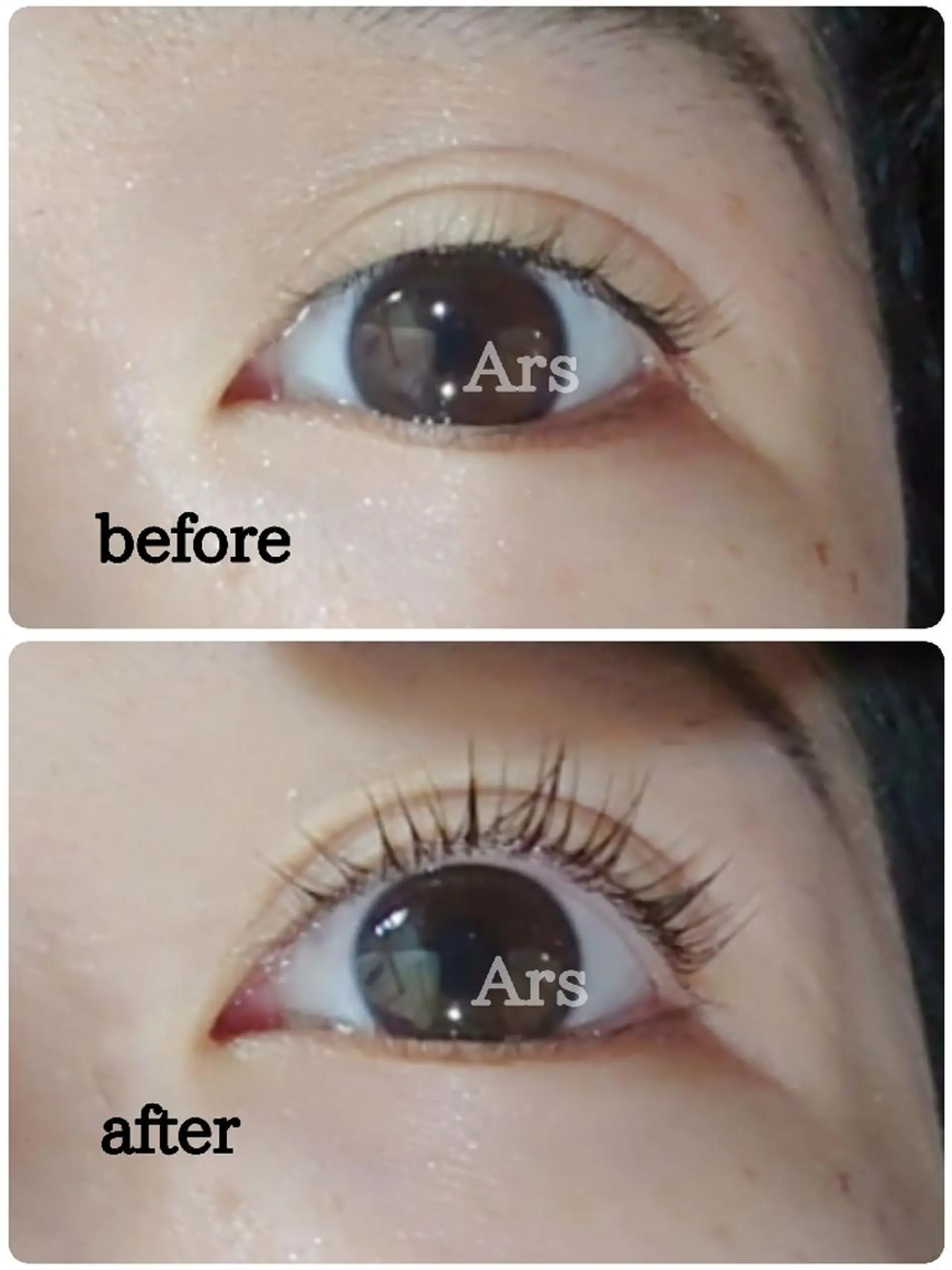 マツエク・マツパ アイリッドアップパーマ Ars      (ｱﾙｽ)のマツエク・マツパデザイン