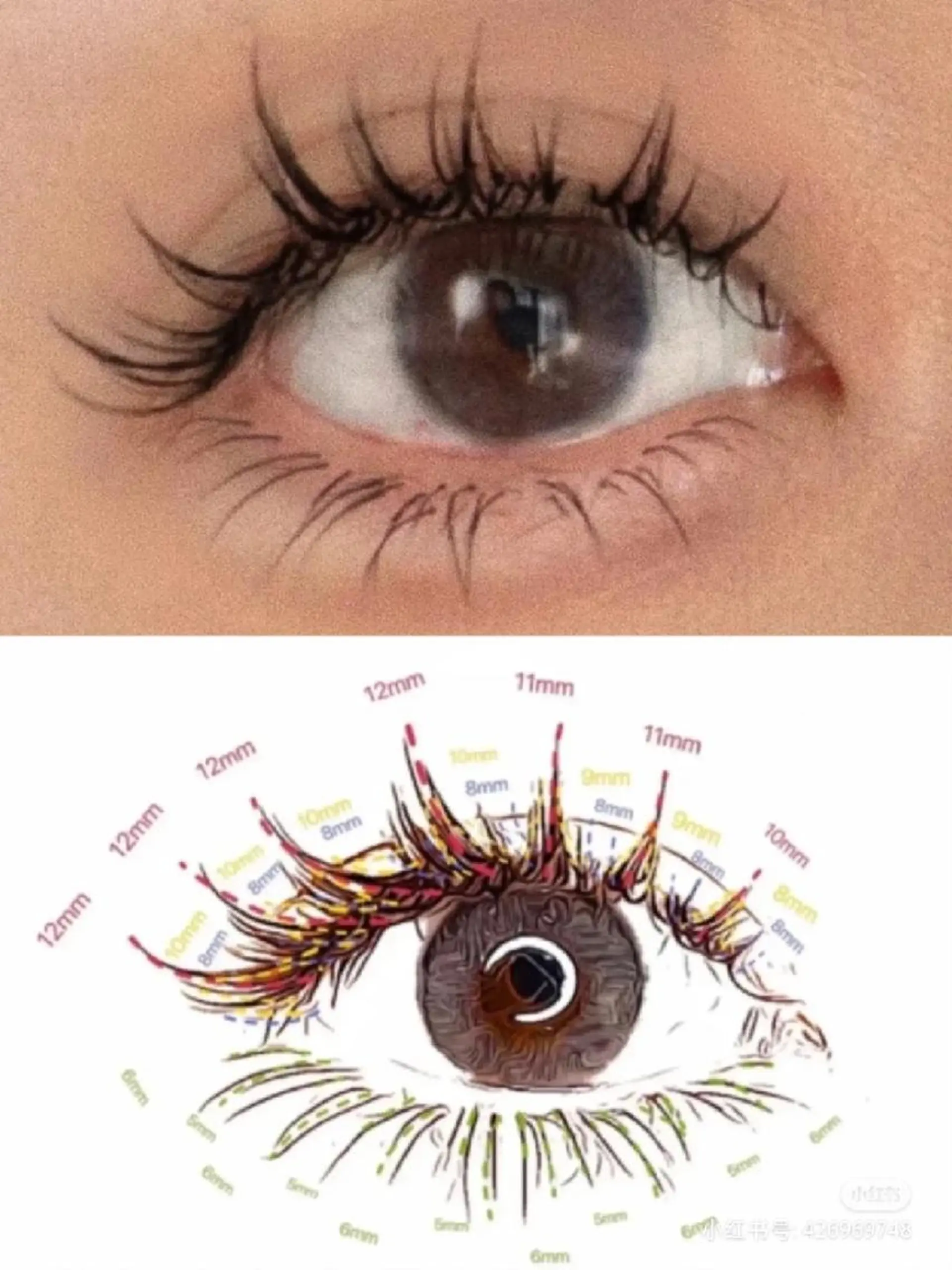 マツエク・マツパ foisalon 大久保店のマツエク・マツパデザイン