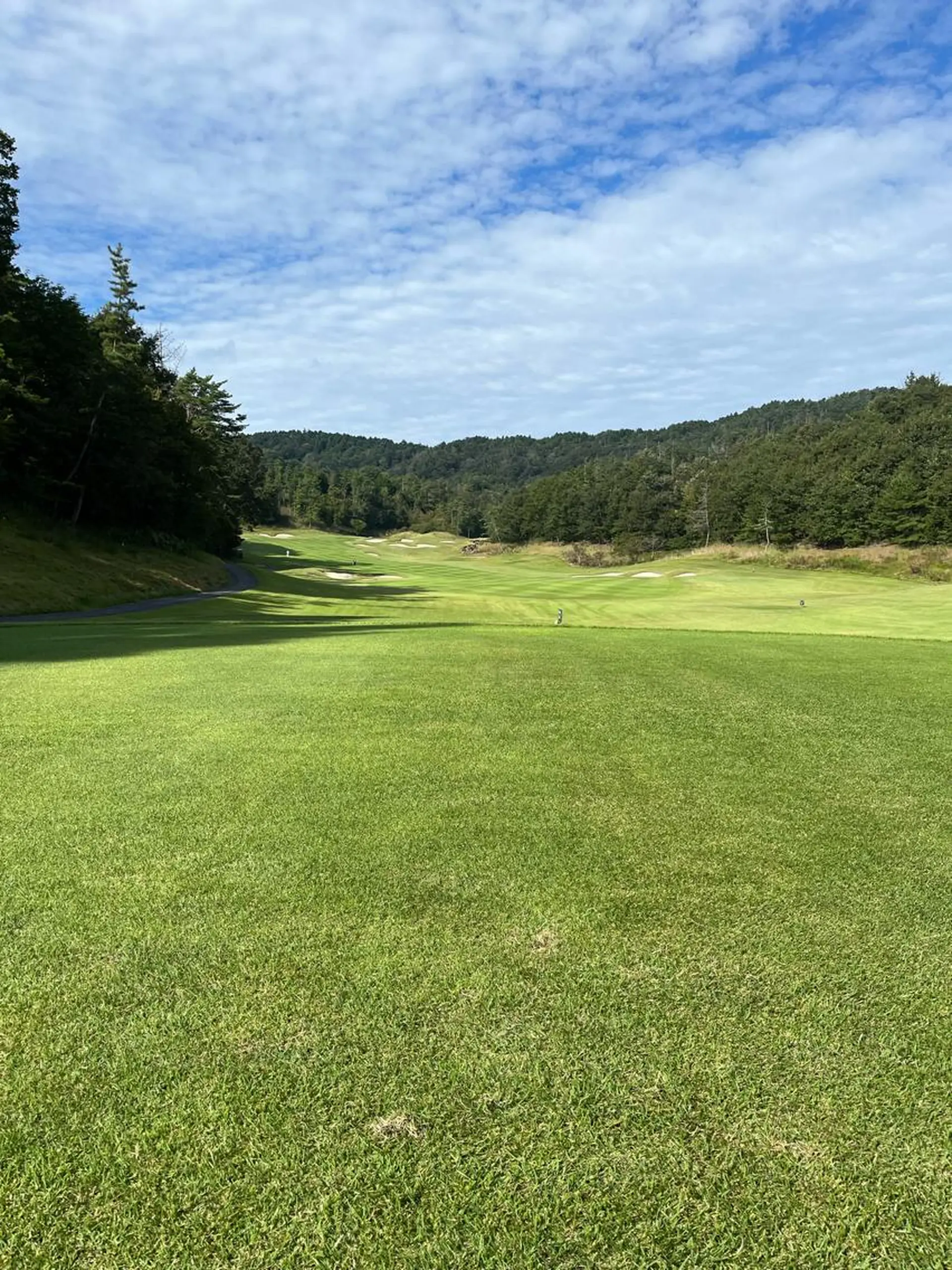 紙屋 隼人のヘアスタイル