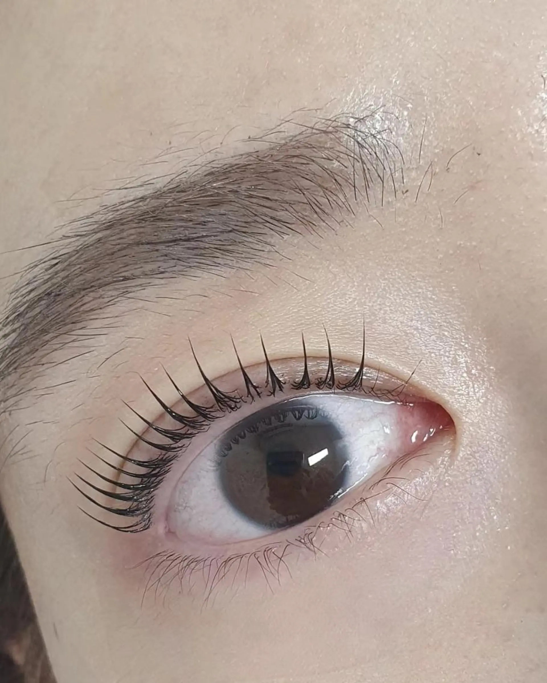 マツエク・マツパ 付け放題 バインドロック カラーマツエク フラットラッシュ 韓国風マツエク マツパ ABマツエクネイル サロン2号店らくらくのマツエク・マツパデザイン