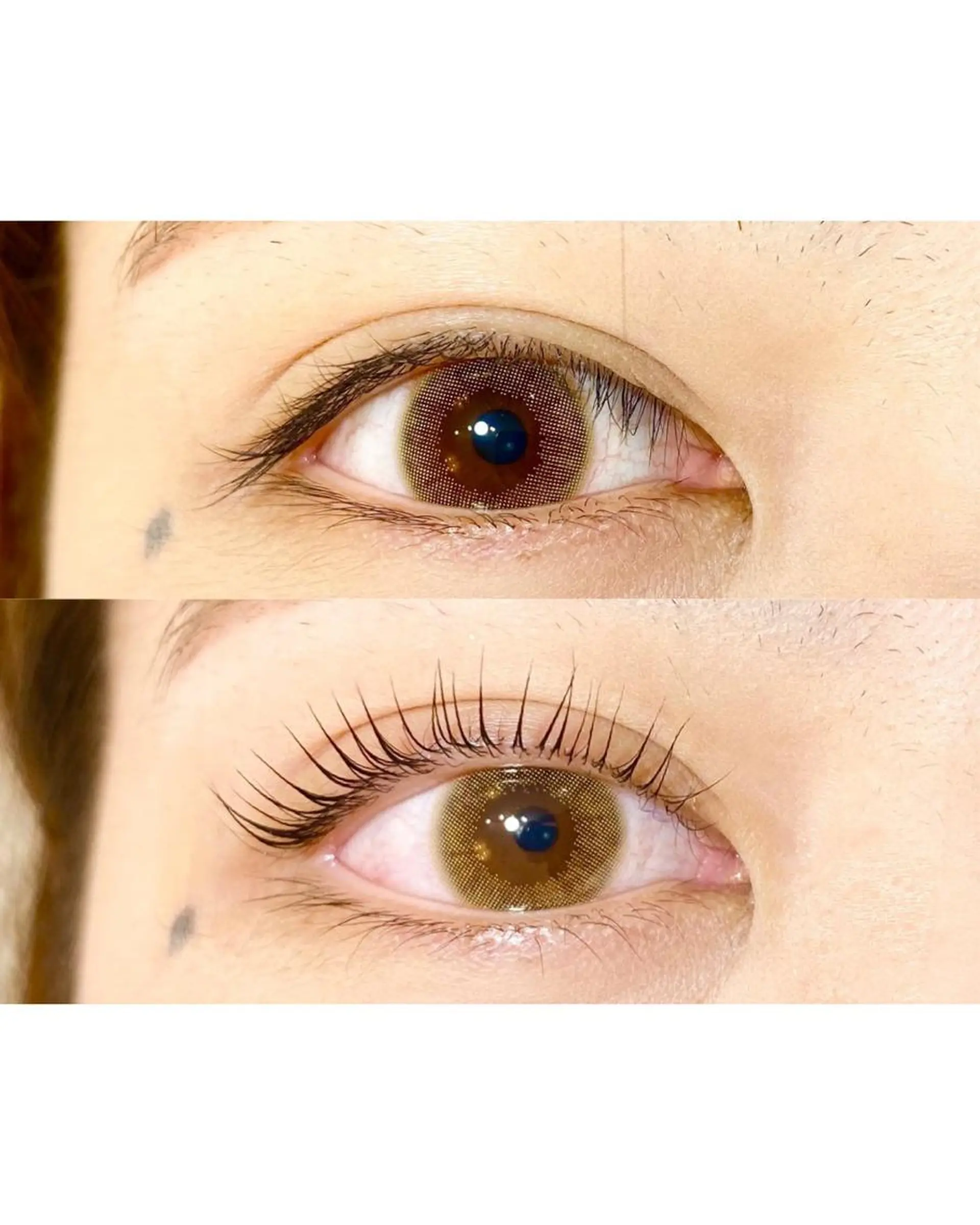 マツエク・マツパ étora 恵比寿店のマツエク・マツパデザイン