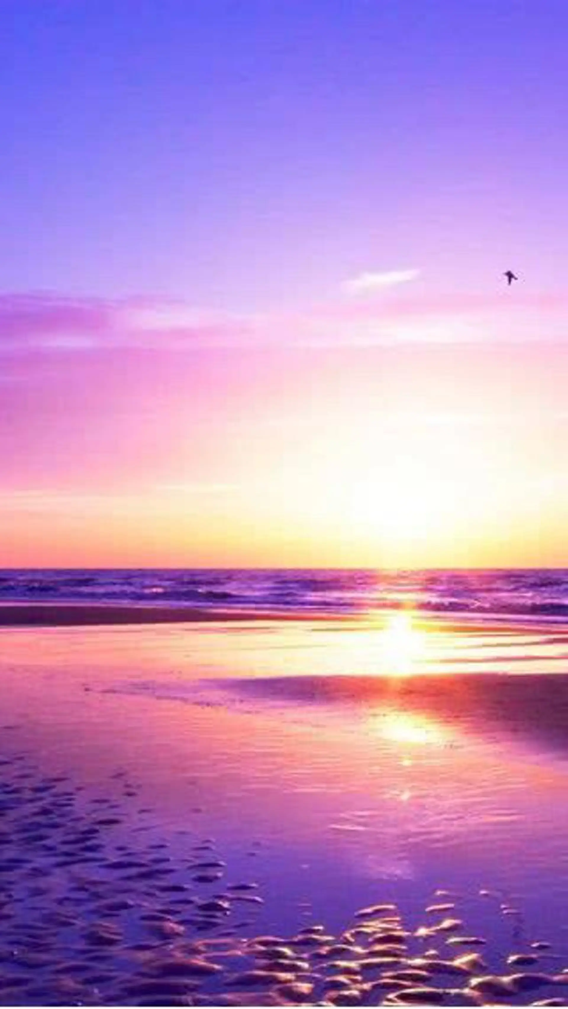 セミロング レイヤー/ショート透 明感カラー/西田祐賀のヘアスタイル