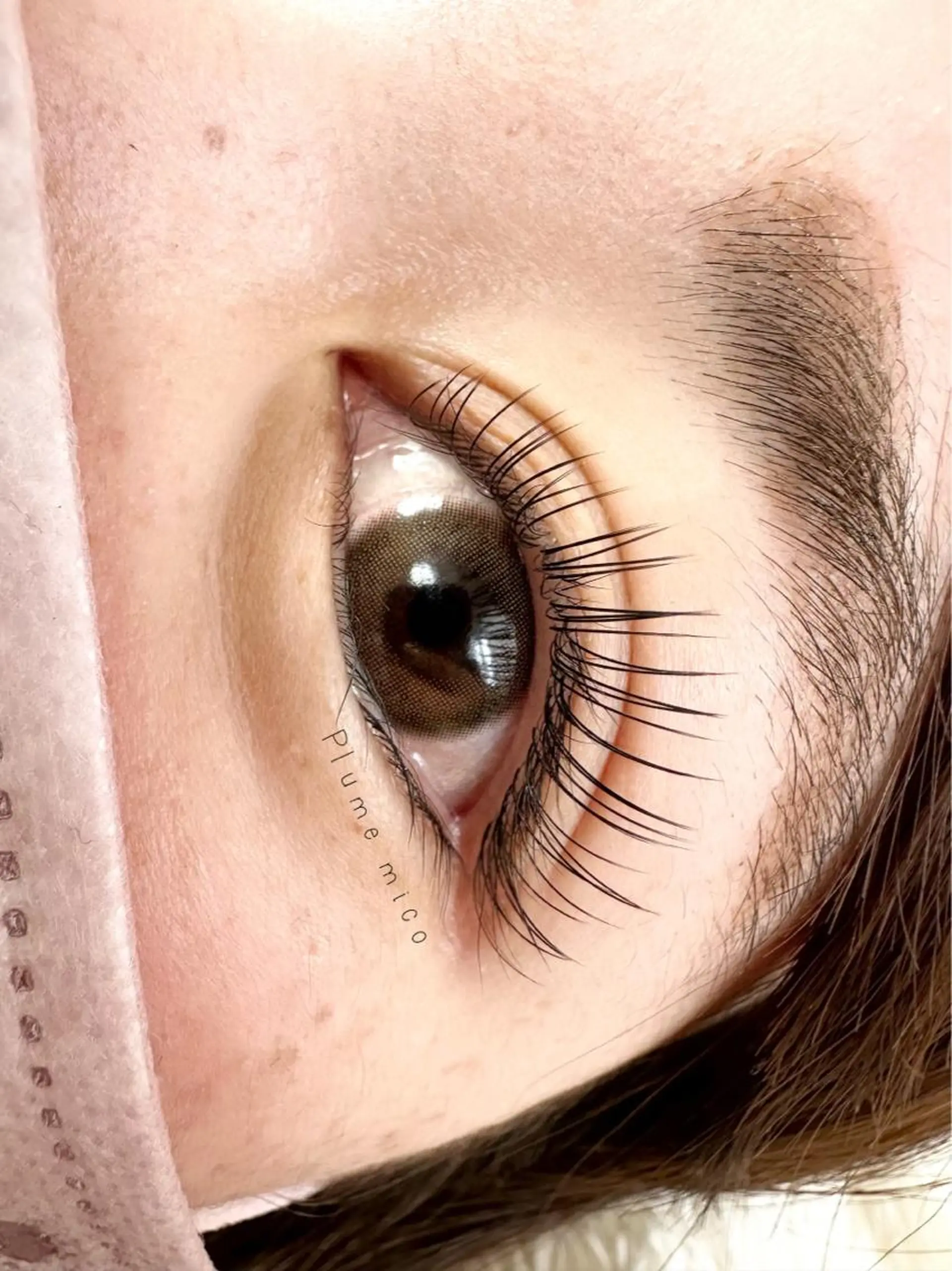 マツエク・マツパ マツエク Plume micoのマツエク・マツパデザイン