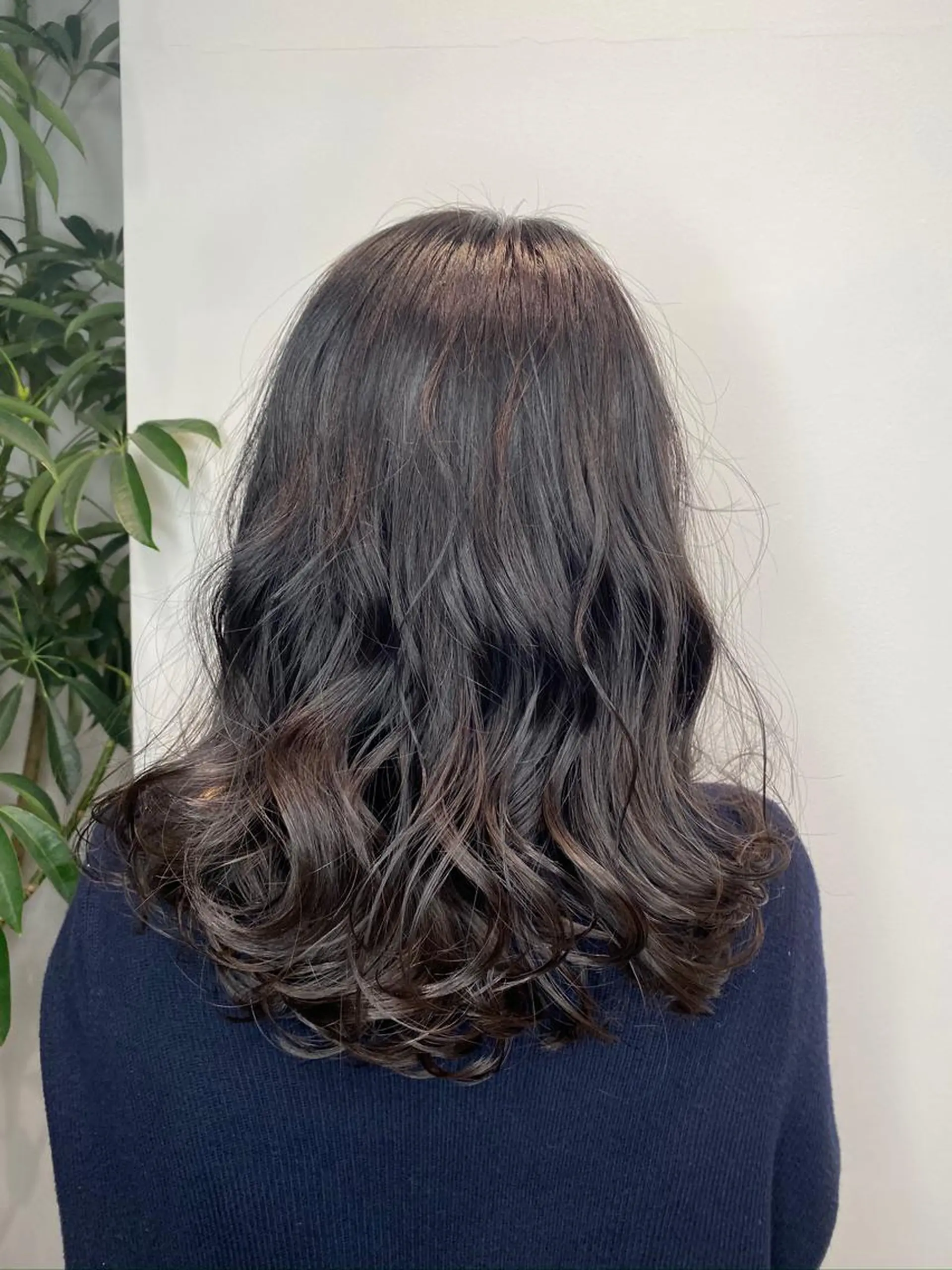 カラー デザインカラーウルフ 宙也のヘアスタイル