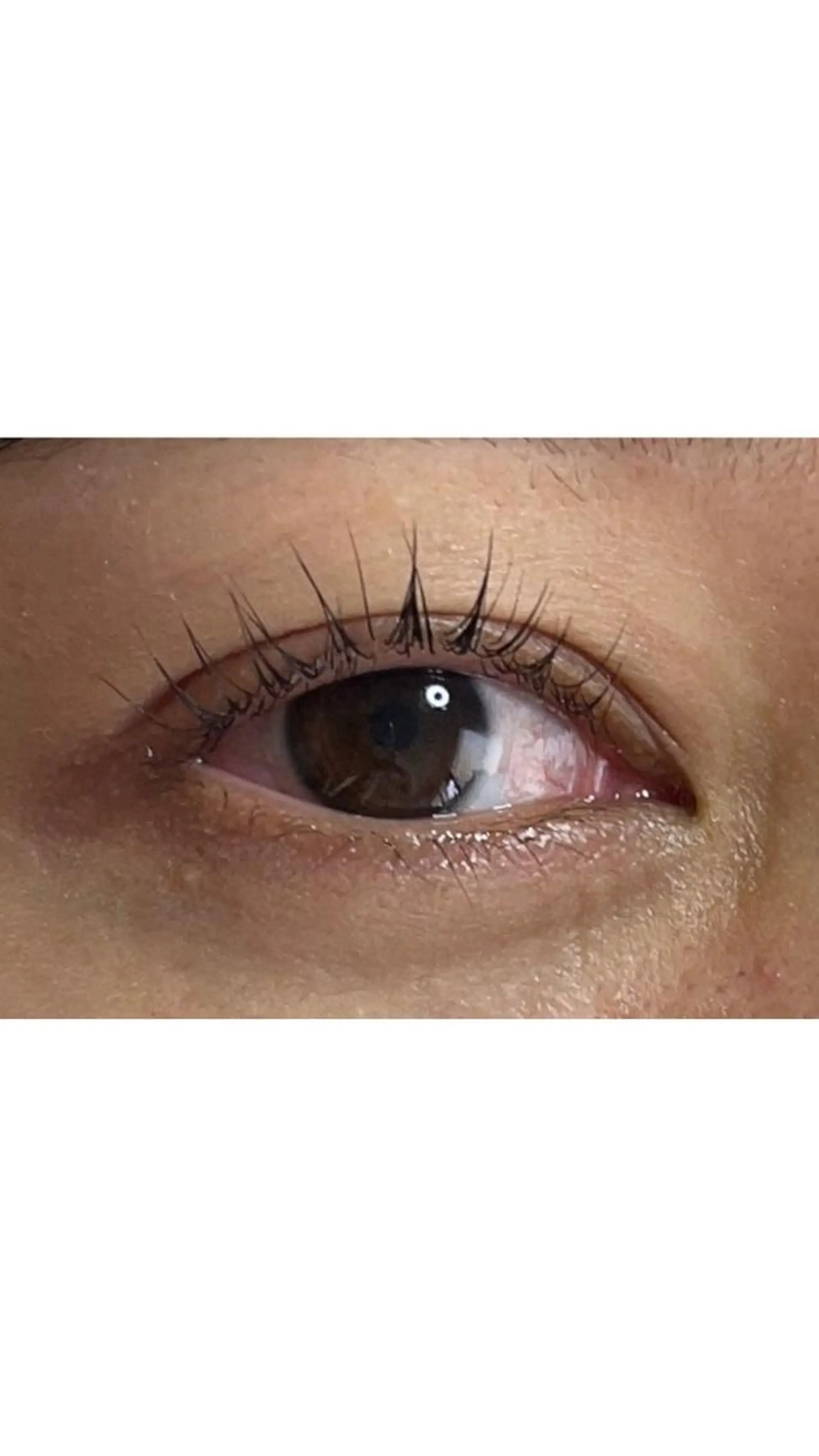 マツエク・マツパ パリジェンヌラッシュリフト ♡tiana juna˖ ࣪⊹のマツエク・マツパデザイン