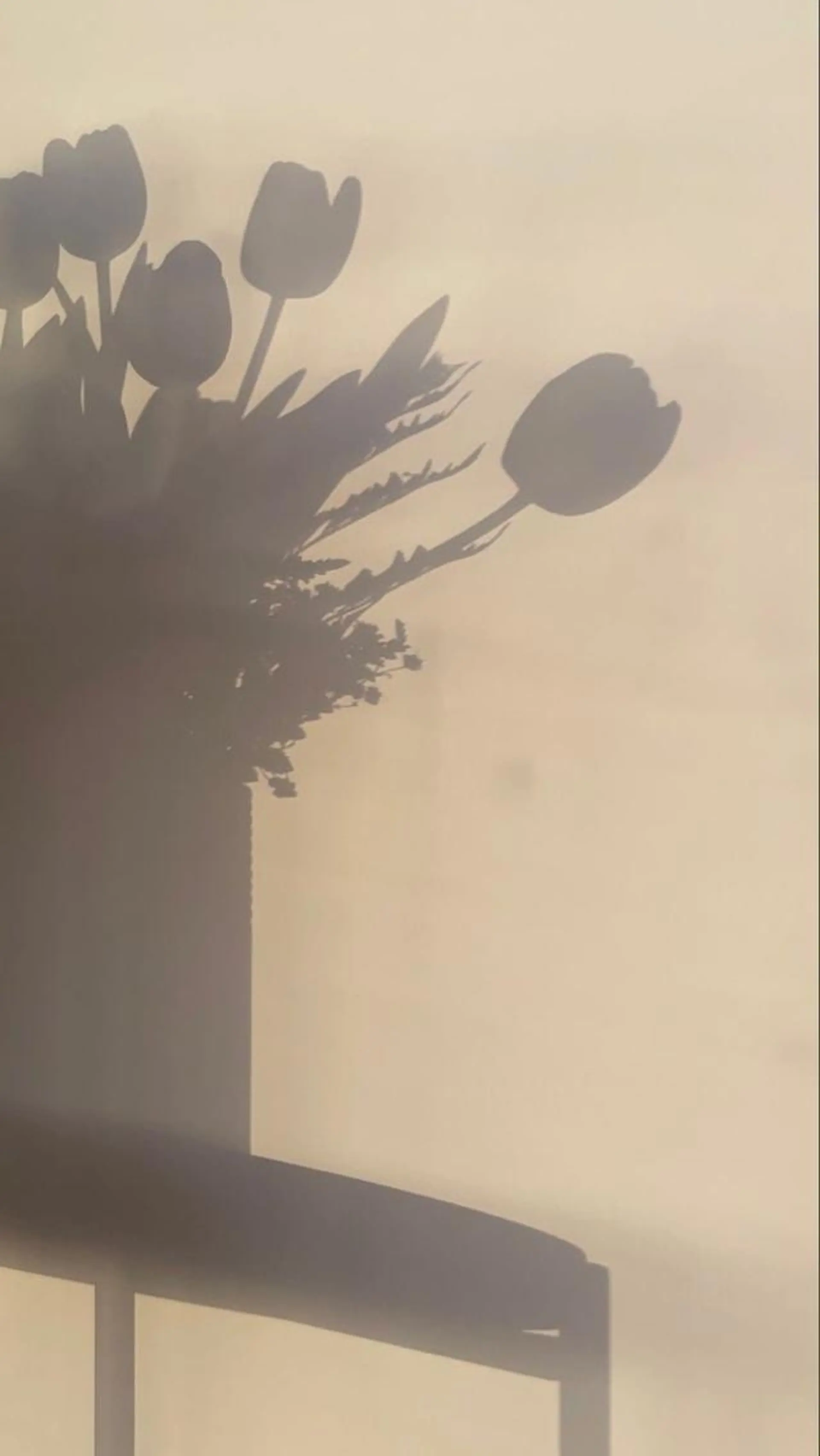 ∴Sanae. ∴ トータルビューティーのマツエク・マツパデザイン