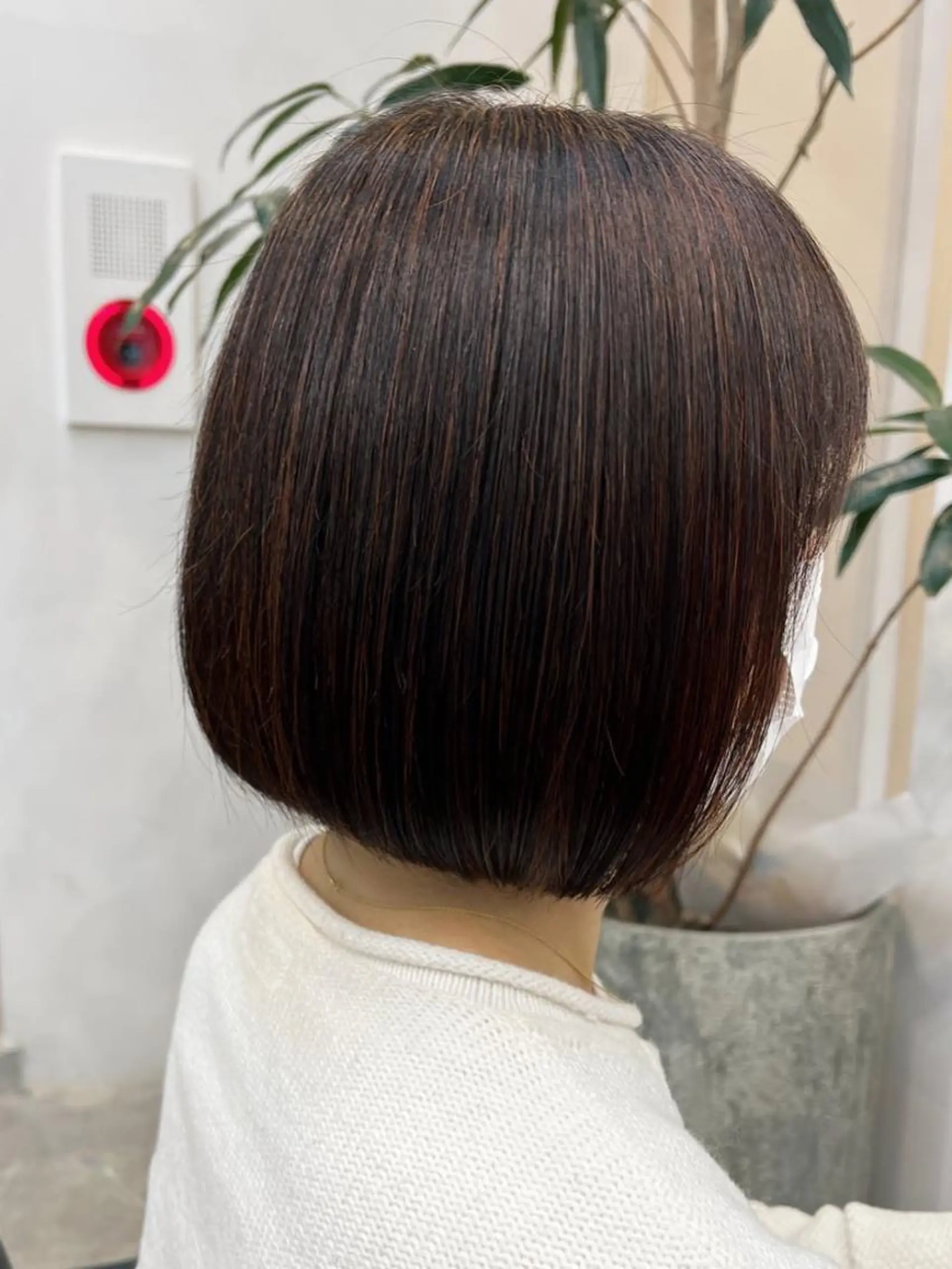 ショート 🐋湊 ゆうき 🫧のヘアスタイル