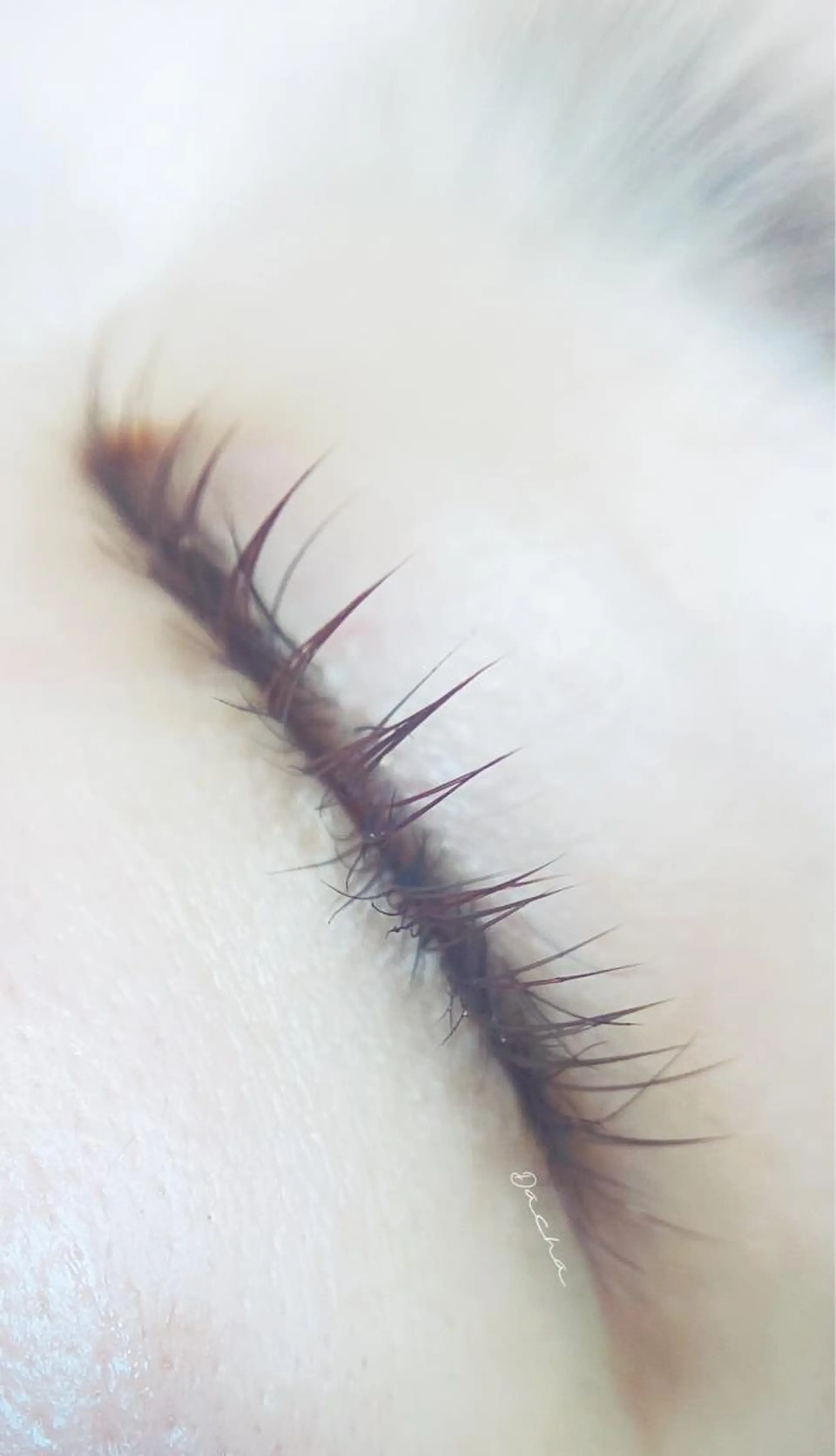 マツエク・マツパ まつ毛の悩み解消 Dacha吉岡の眉毛・アイブロウイメージ