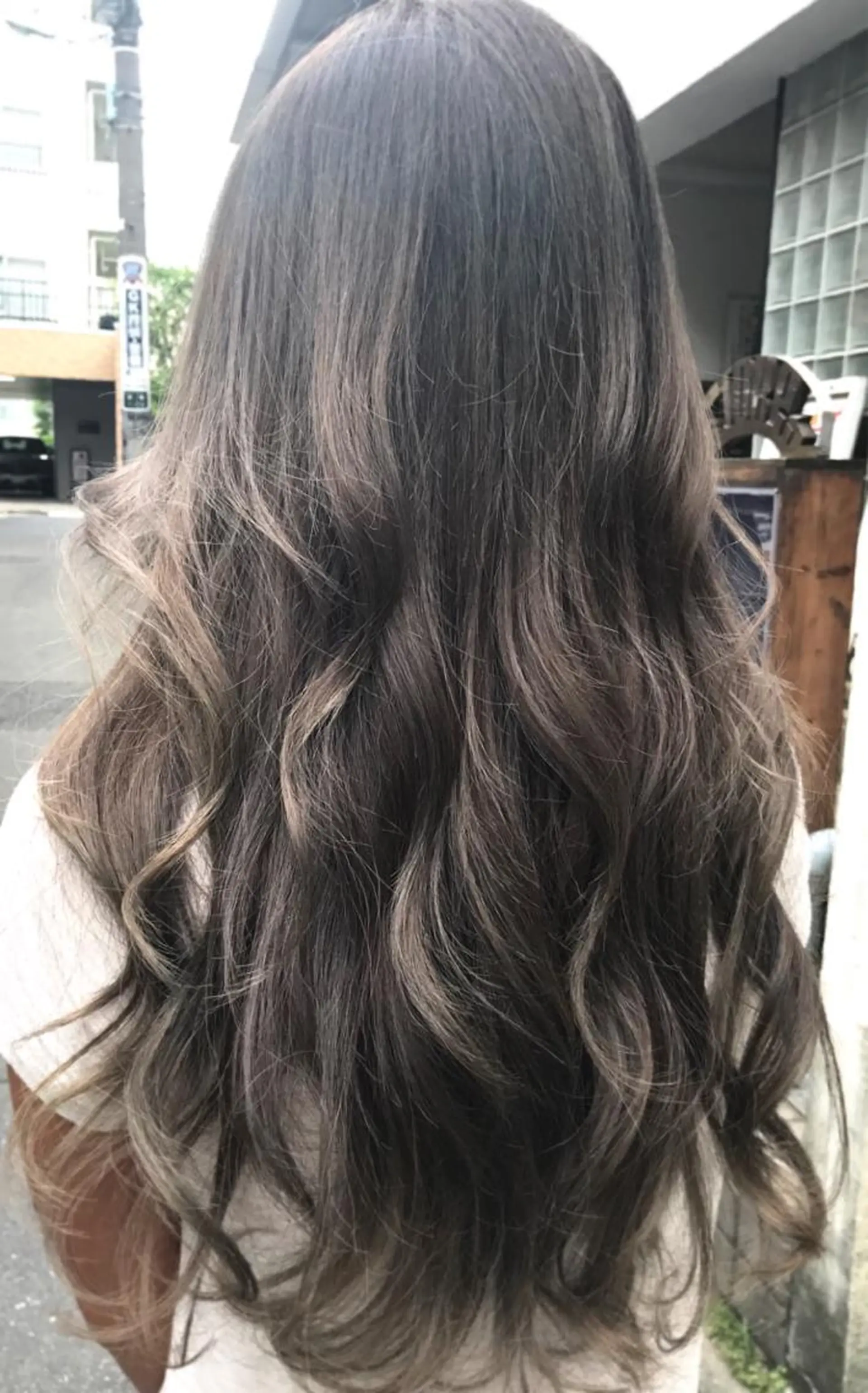 ロング カラー 白髪ぼかし×デザイン 🕊️🫧ホウジョウのヘアスタイル