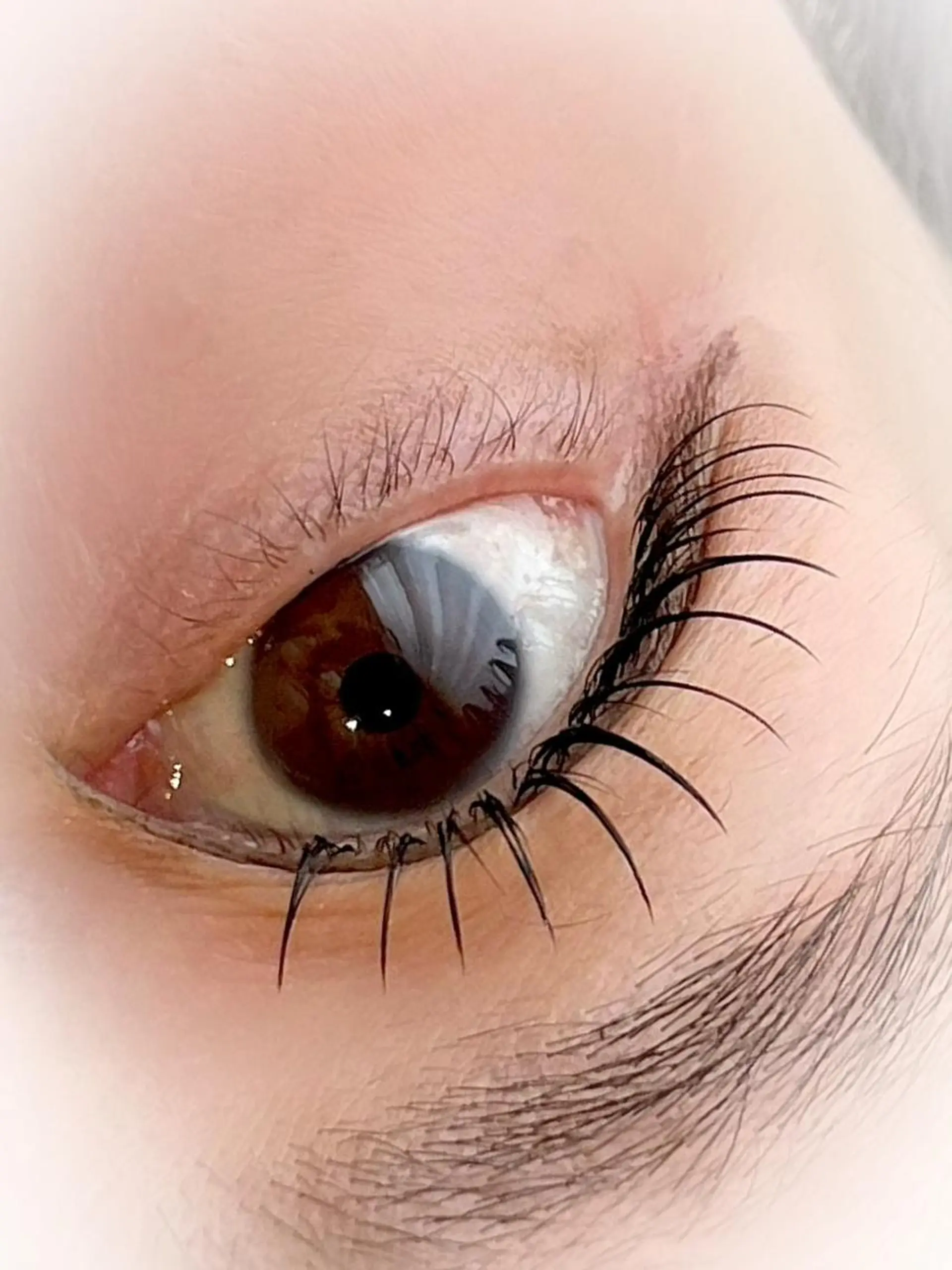 マツエク・マツパ マツエク 細川 la beaux中津のマツエク・マツパデザイン