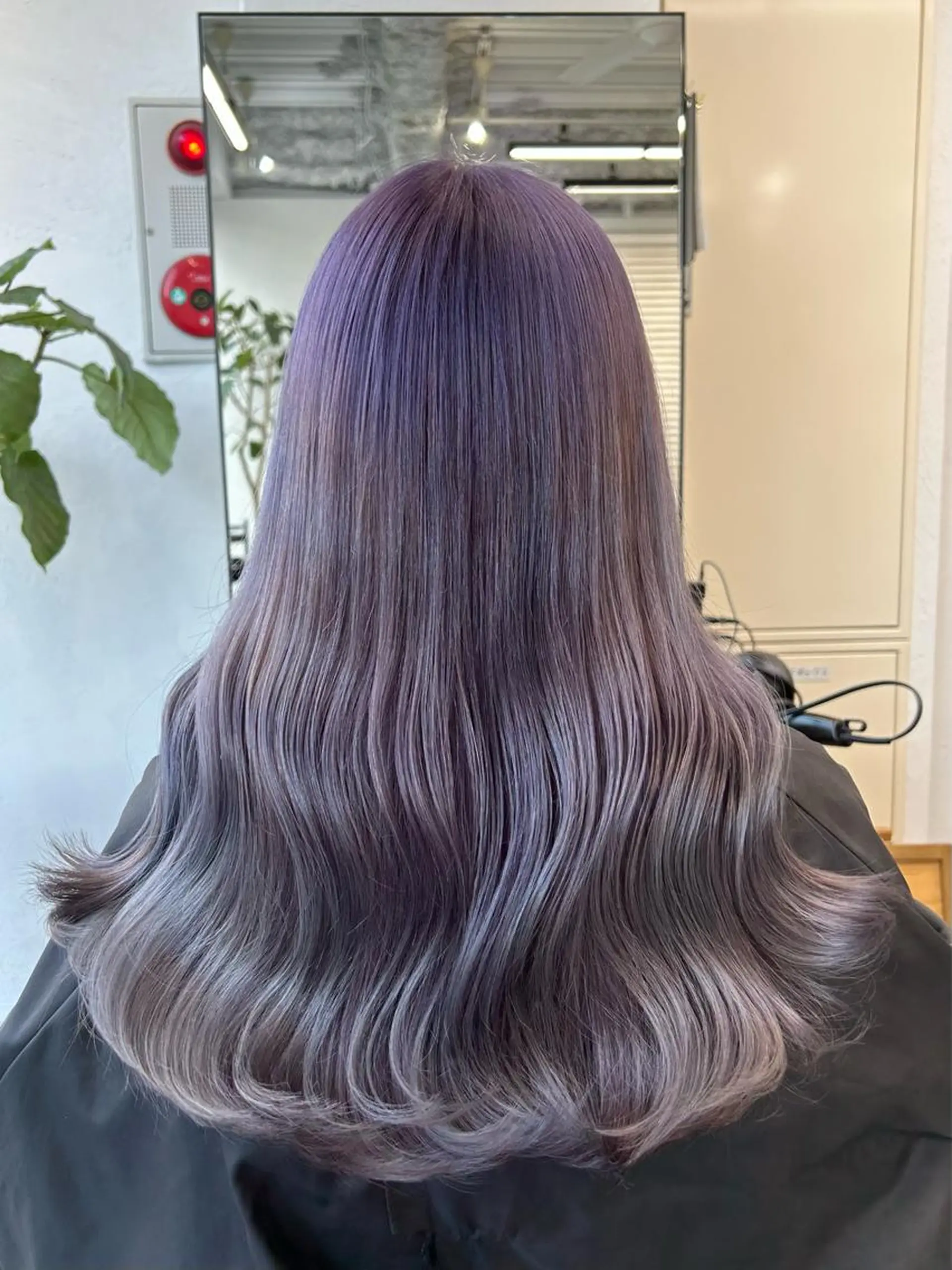 ロング カラー ヘアアレンジ ヘアカラー トリートメント 韓国/ハイトーン/ ボブ🎀MIKU🎀のヘアスタイル