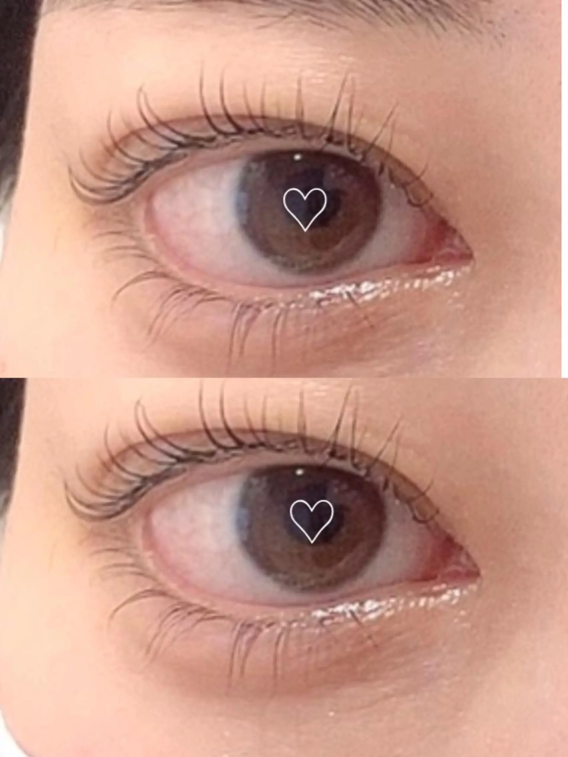 マツエク・マツパ 下まつげエクステ 一重×まつ毛パーマ 🦋eyelist 株　カブ🦋横浜のマツエク・マツパデザイン