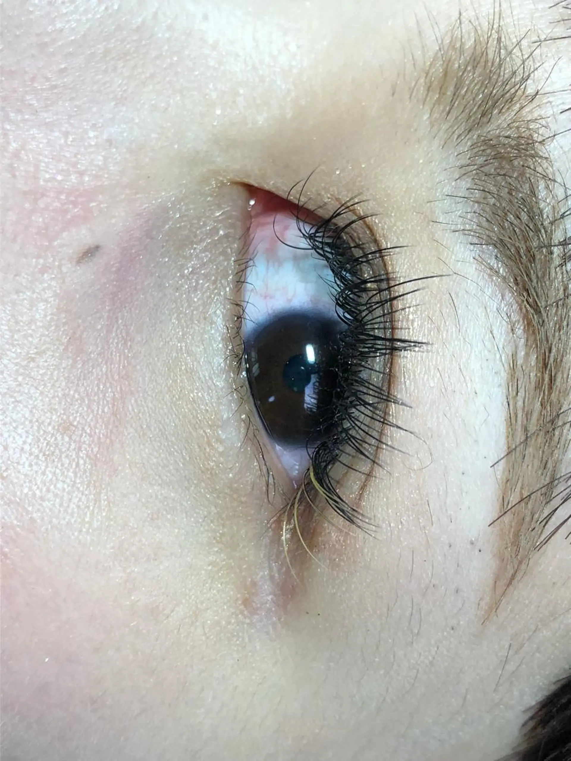 マツエク・マツパ カラーマツエク フラットラッシュ Rei to　youのマツエク・マツパデザイン