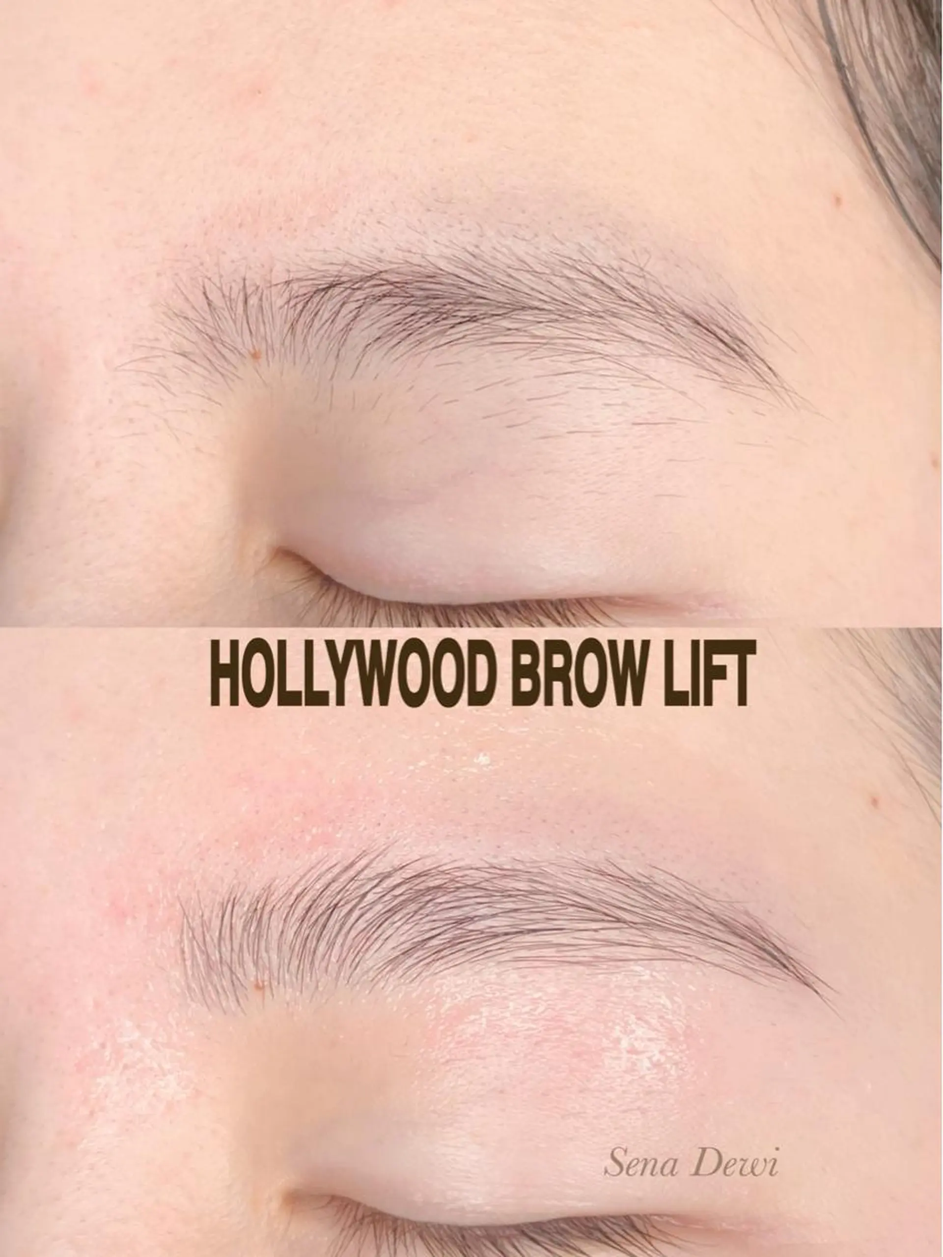 アイブロウ Sena Dewi Yukiの眉毛・アイブロウイメージ