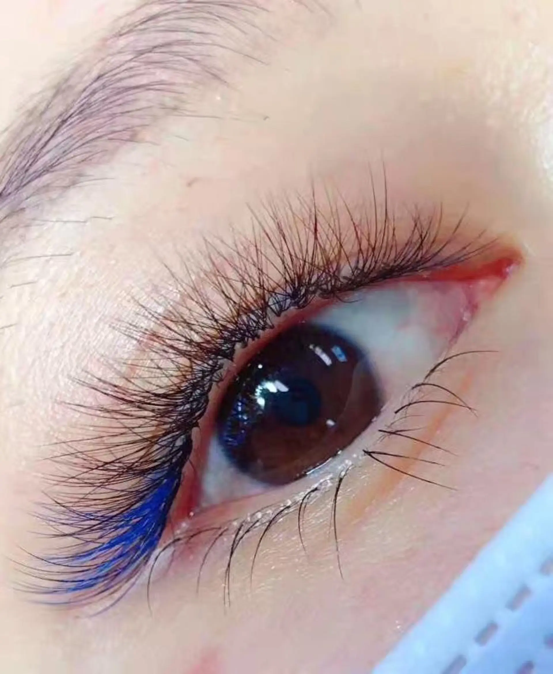 マツエク・マツパ Cute B e au t yのマツエク・マツパデザイン