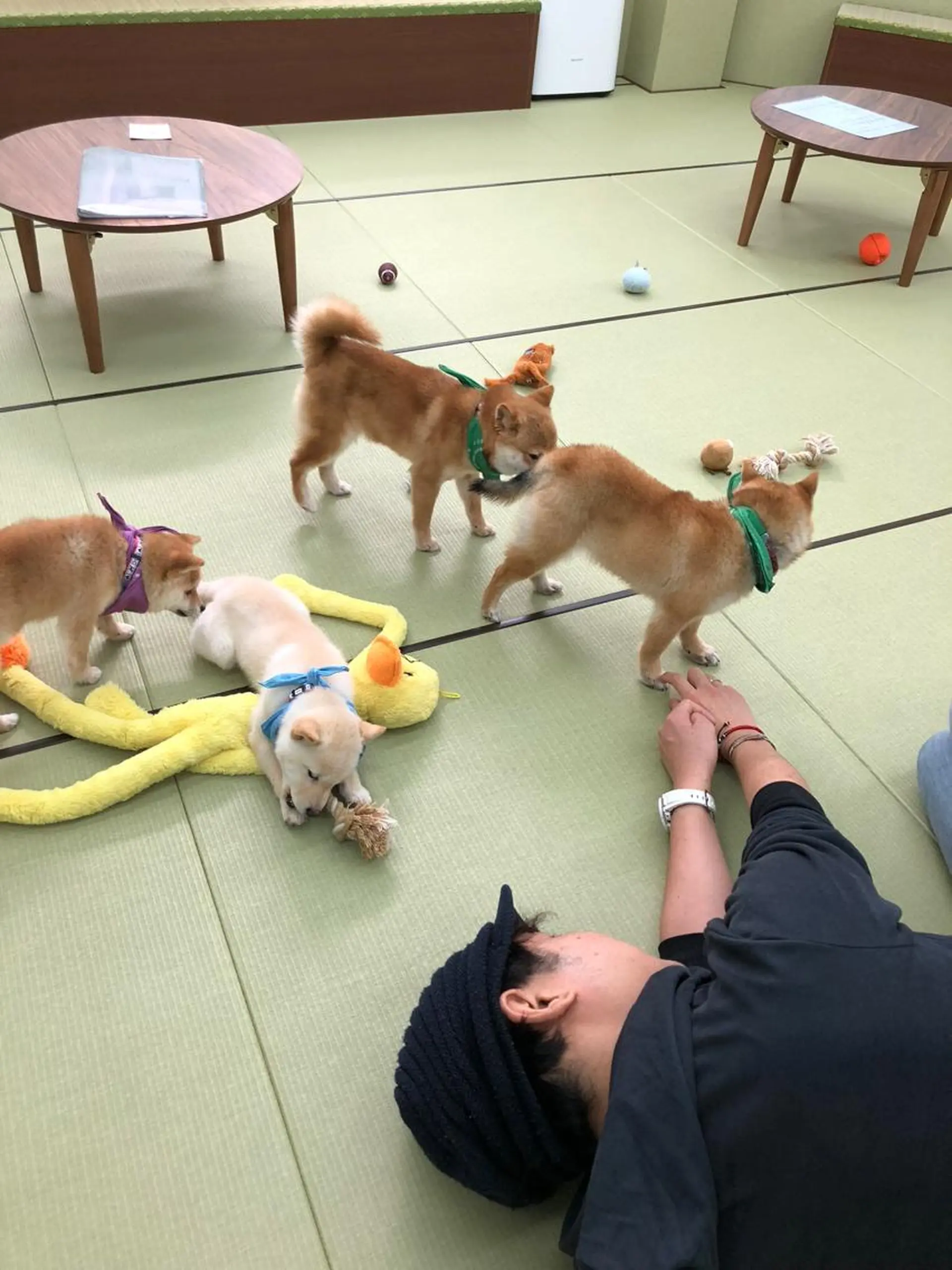 💫newi💫村上 孝一のヘアスタイル