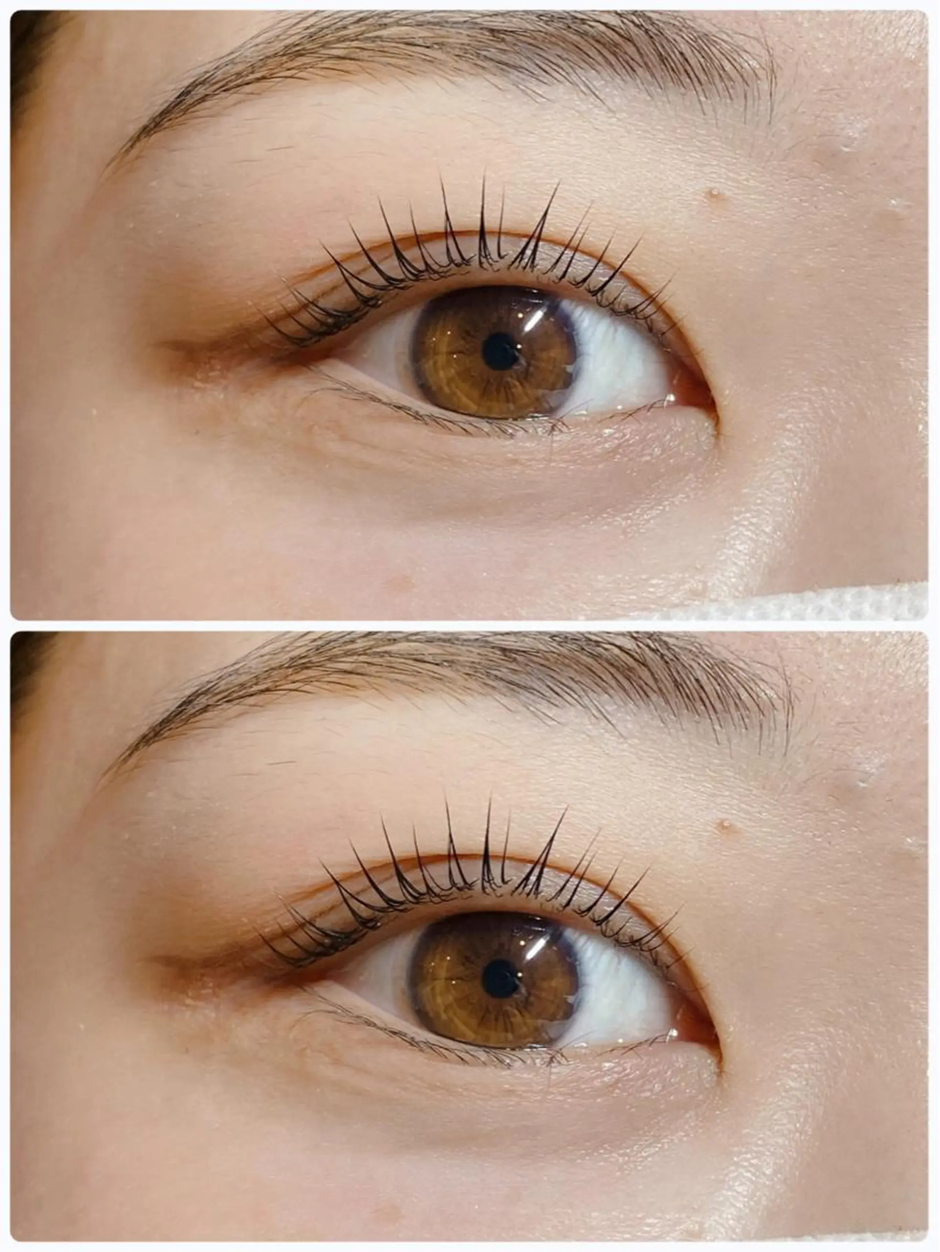 パーマ sato ayumi🍀🌈のマツエク・マツパデザイン