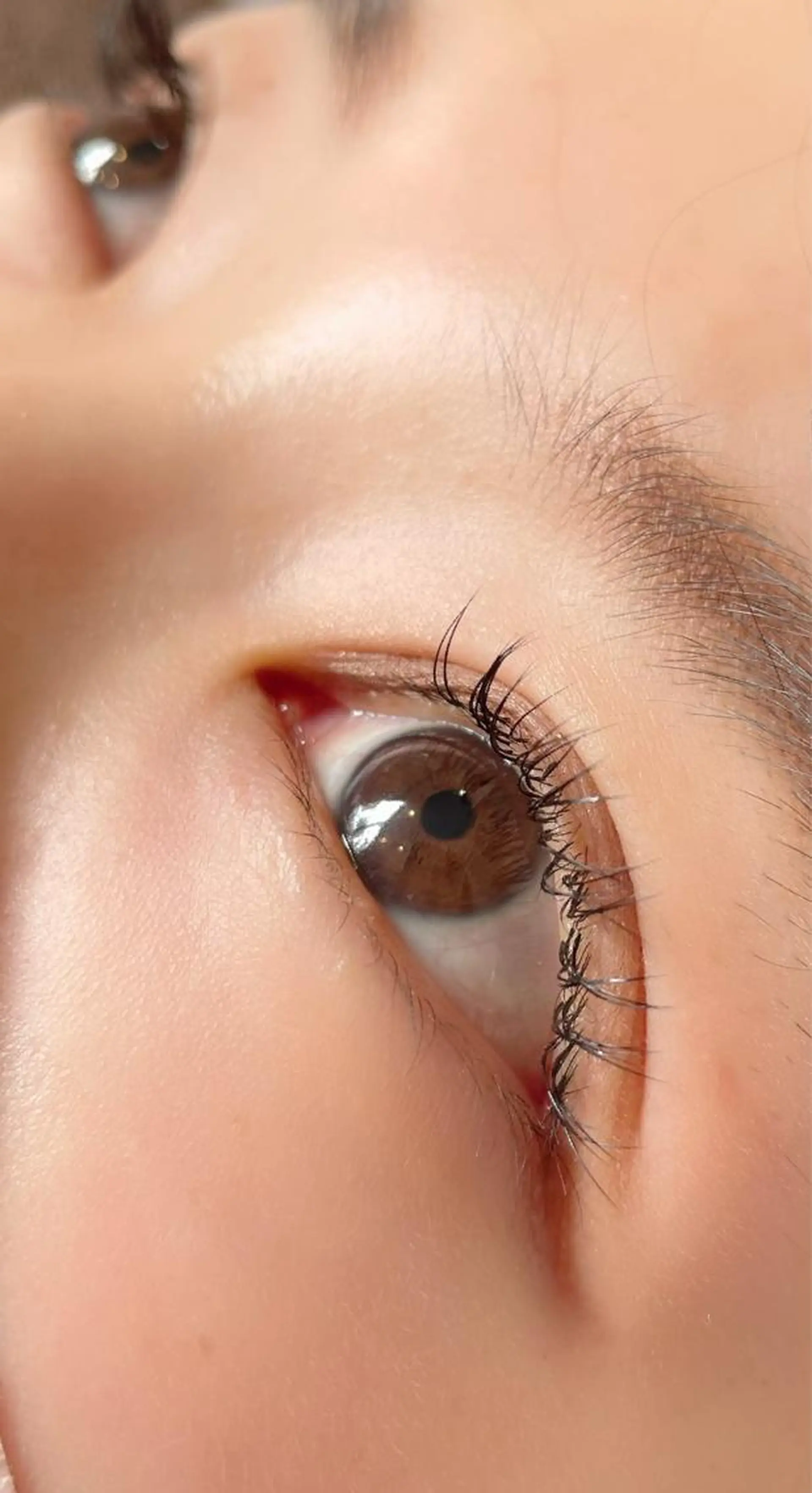 マツエク・マツパ まつ毛眉毛専門店 吉田のマツエク・マツパデザイン