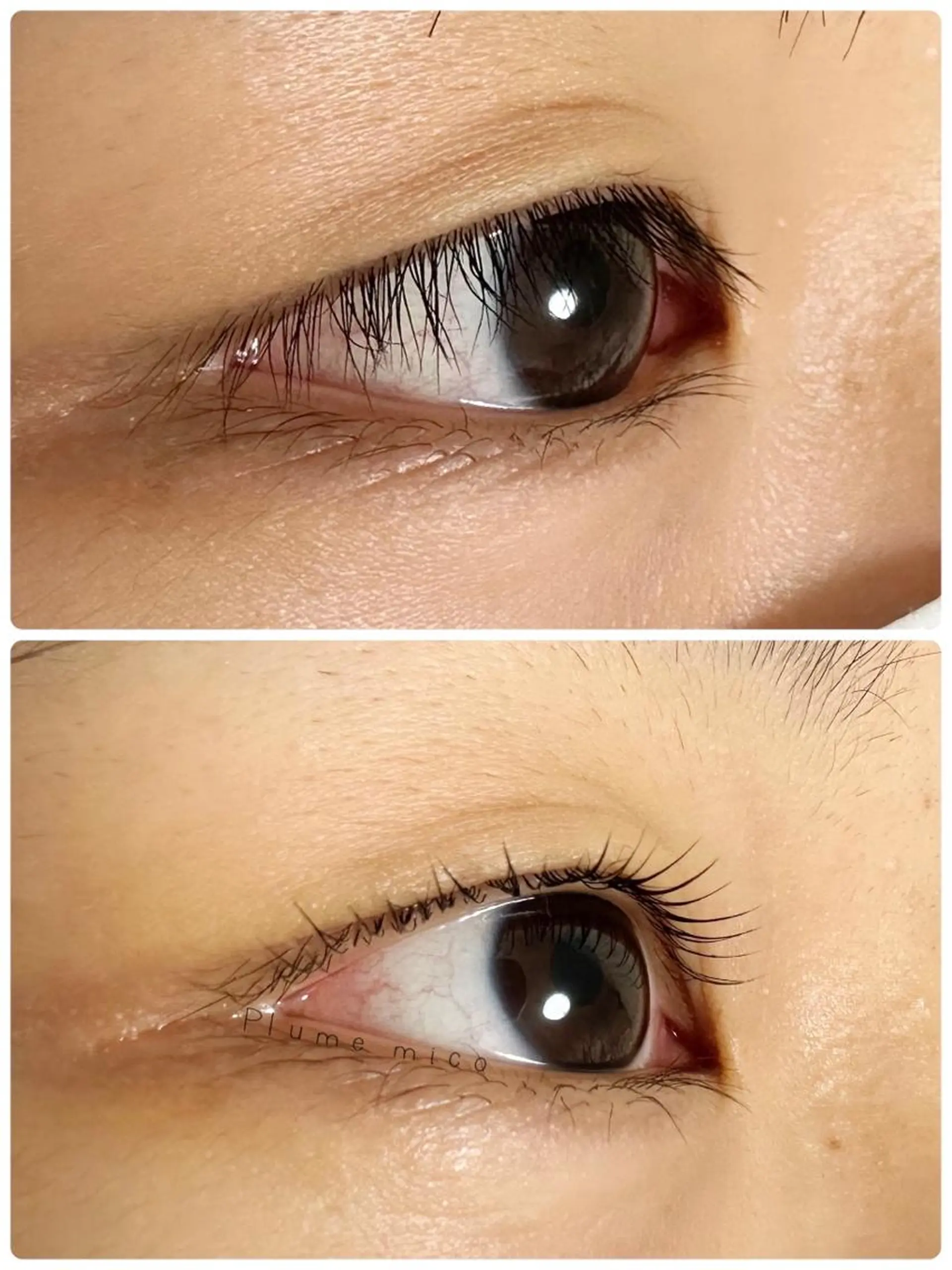 マツエク・マツパ マツパ Plume micoのマツエク・マツパデザイン