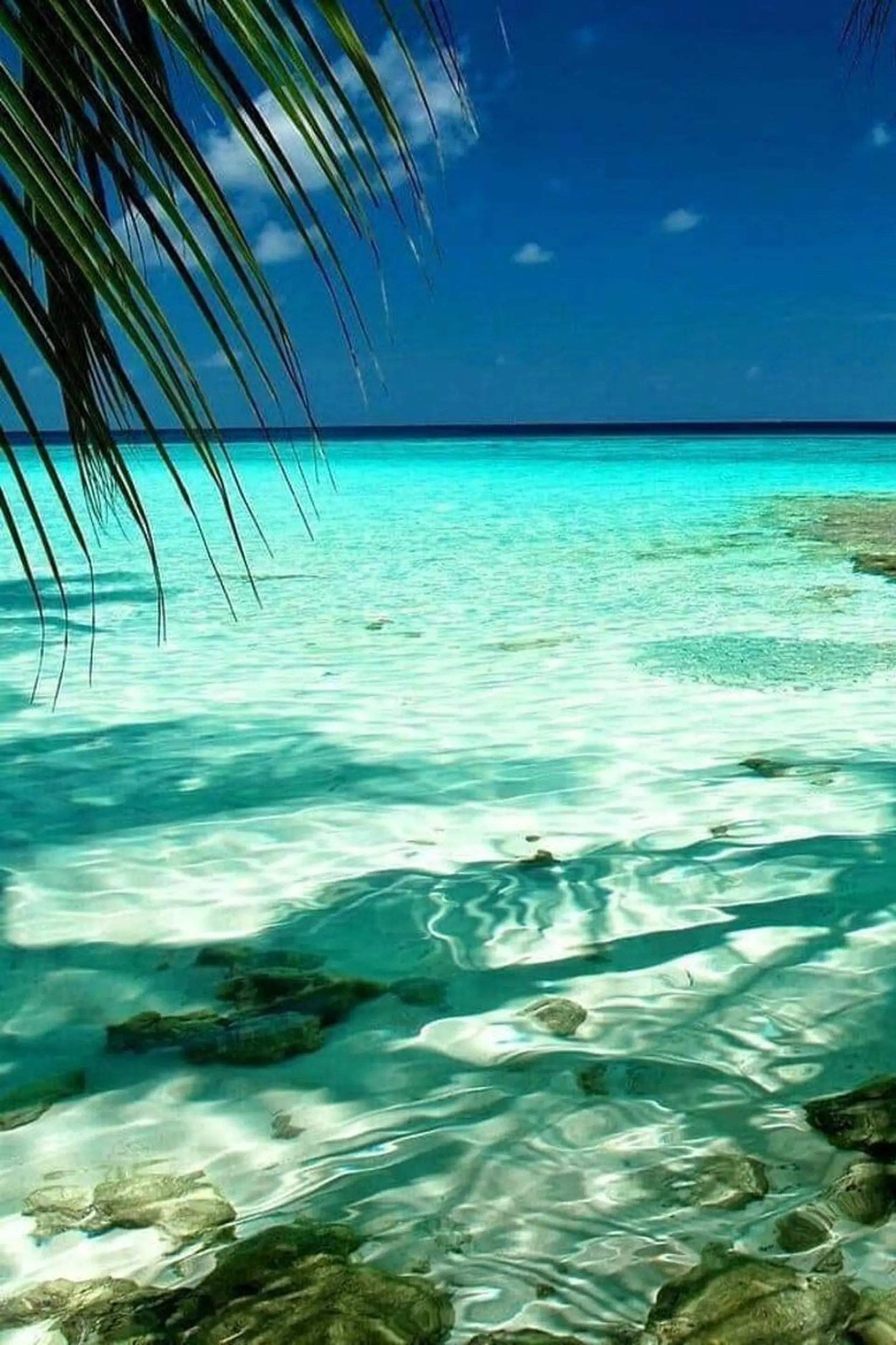 𝐘𝐎𝐒𝐇𝐈 𝐌𝐈🌞🏝のマツエク・マツパデザイン