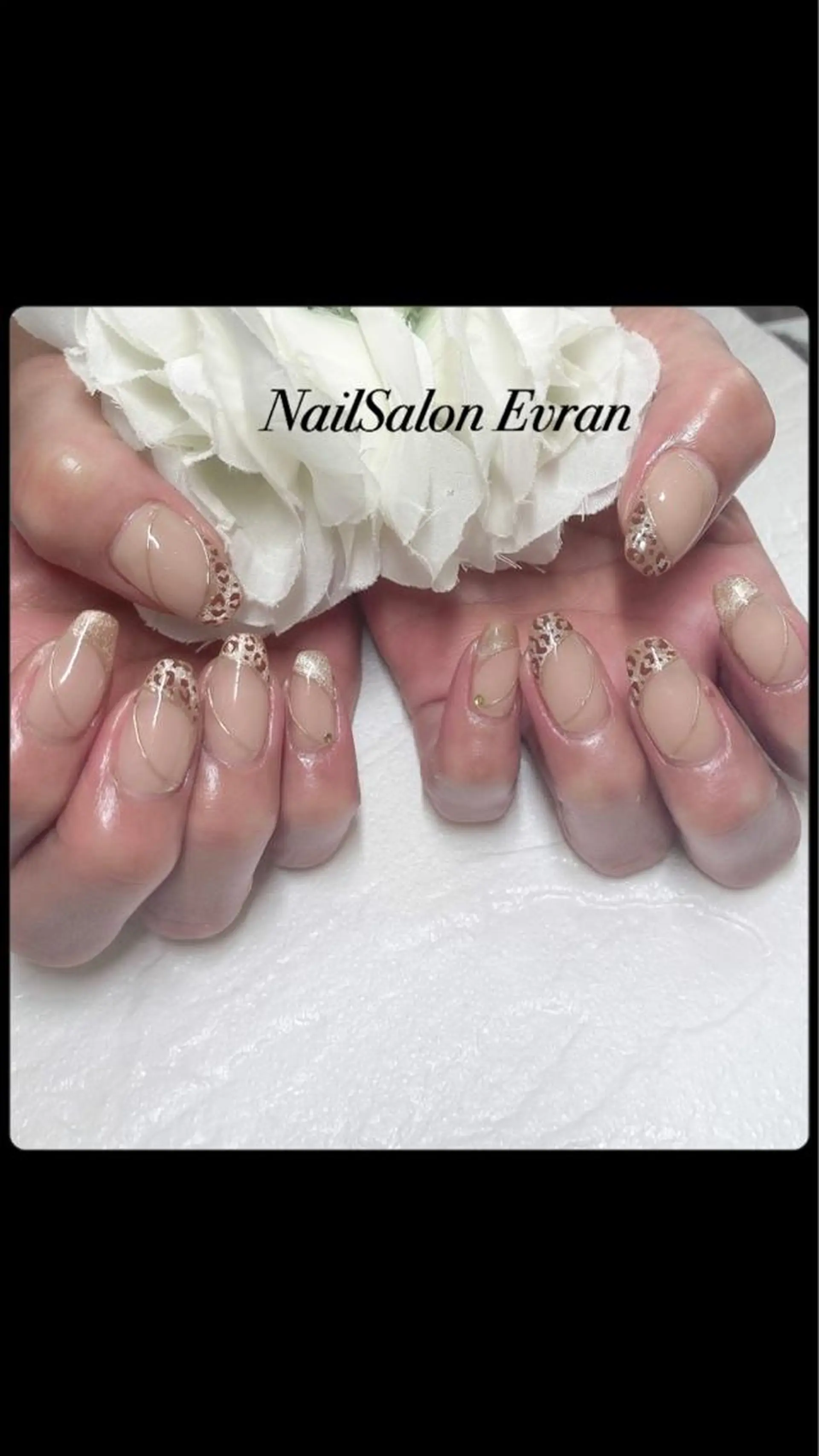 ネイル マグネットネイル ニュアンスネイル Nail salon Evranのネイルデザイン