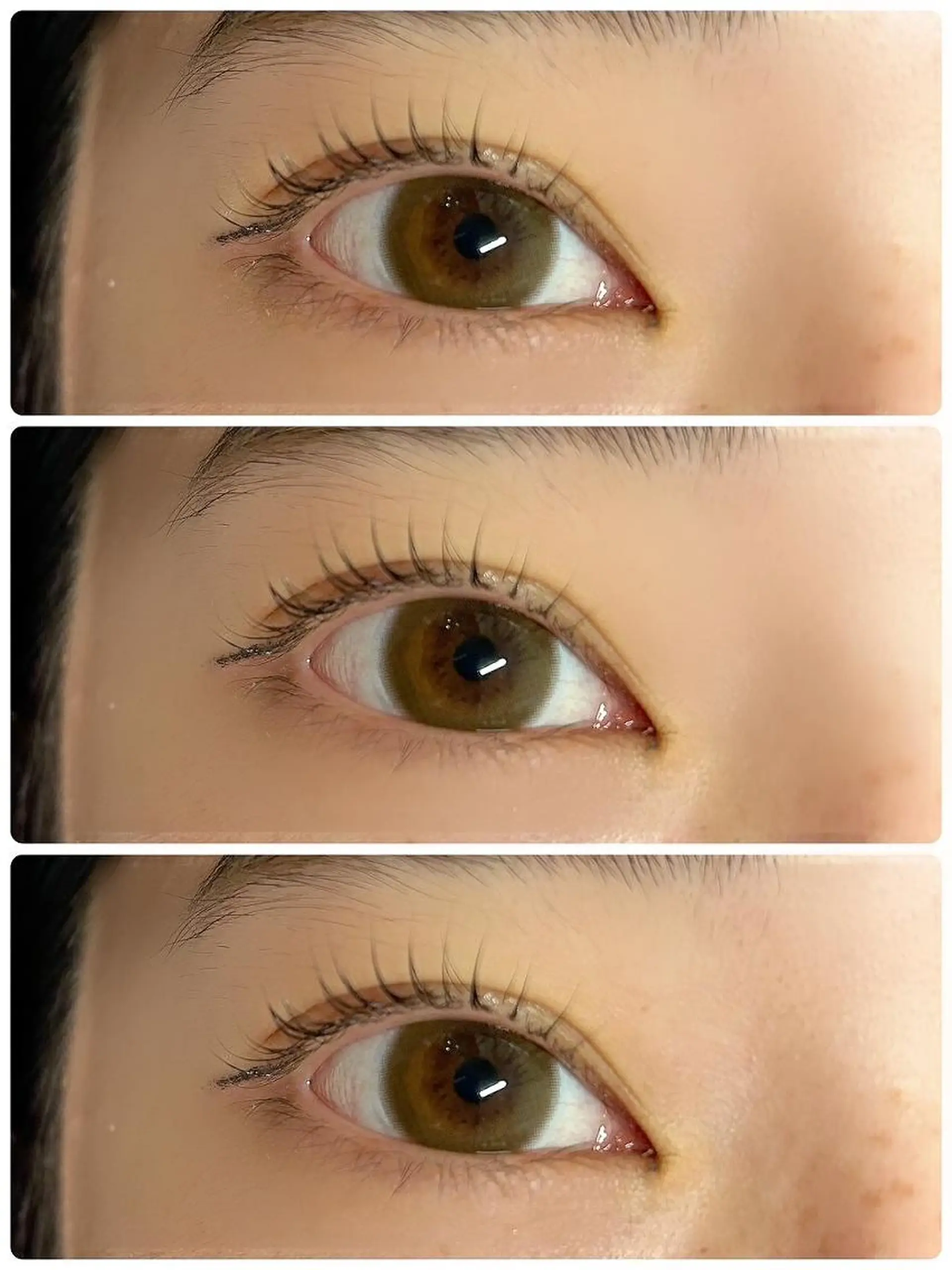 マツエク・マツパ loa🤎野田屋町店 /石井あすかのマツエク・マツパデザイン