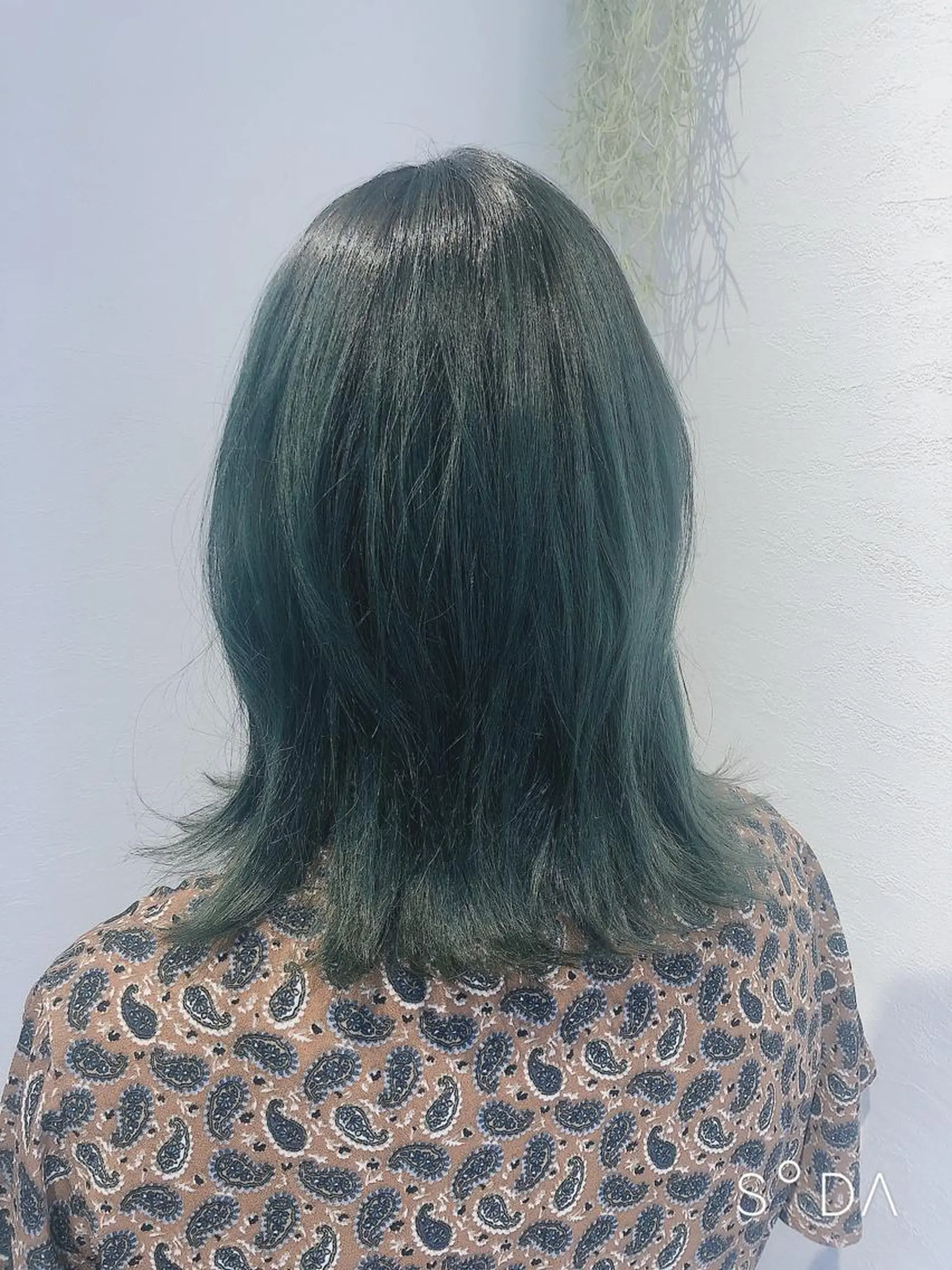 ミディアム カラー 🌹艶髪カラー🌹 津田晴加【西荻窪】のヘアスタイル