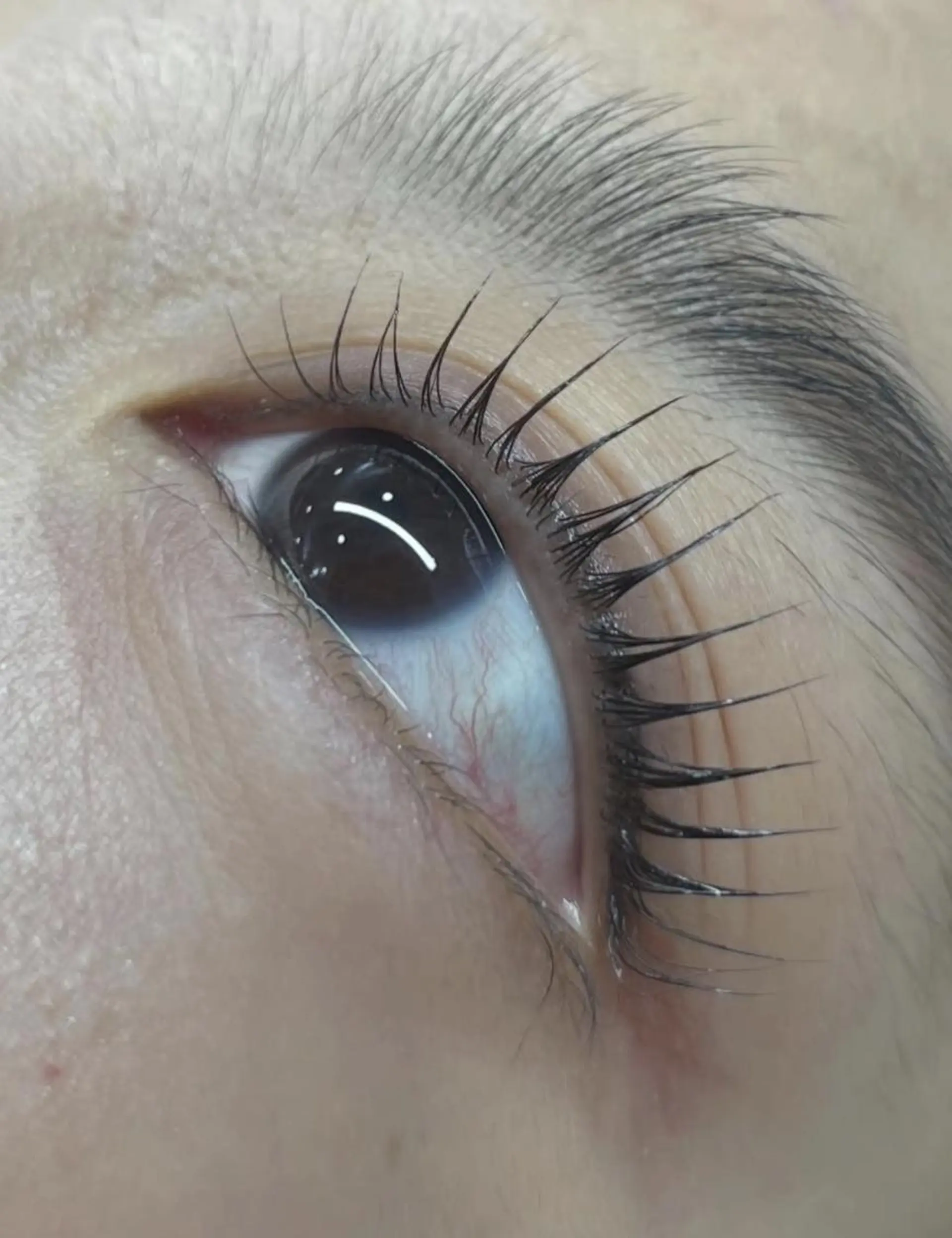 マツエク・マツパ エミ 💜のマツエク・マツパデザイン