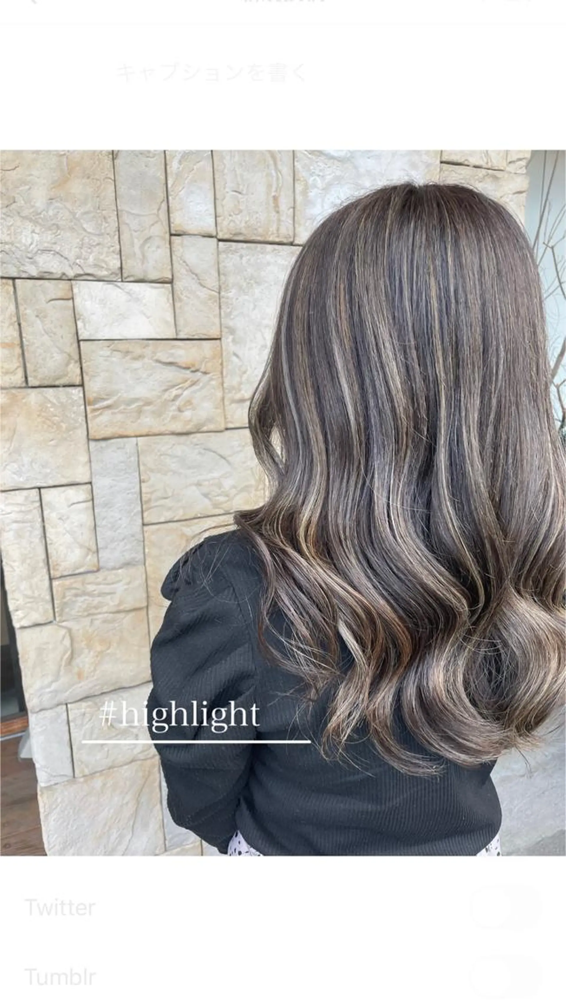 セミロング カラー ハイライトカラー ハイライト F-LILA (リラ)Ainaのヘアスタイル