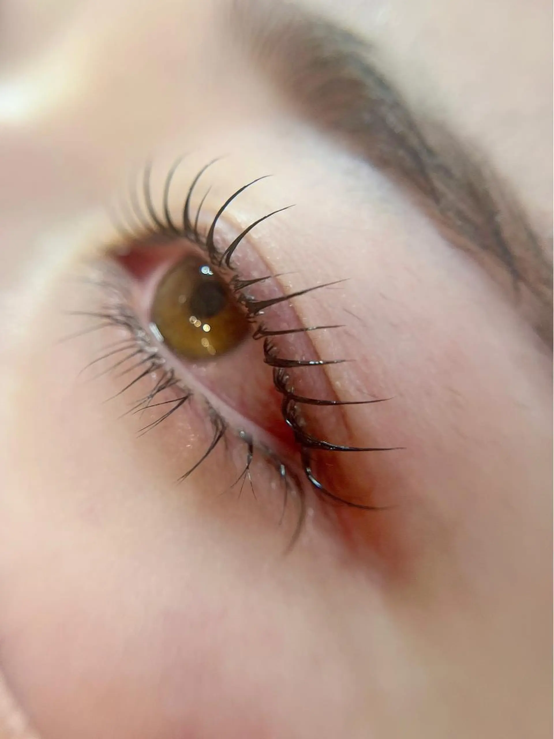 マツエク・マツパ n9　brow sumi.の眉毛・アイブロウイメージ