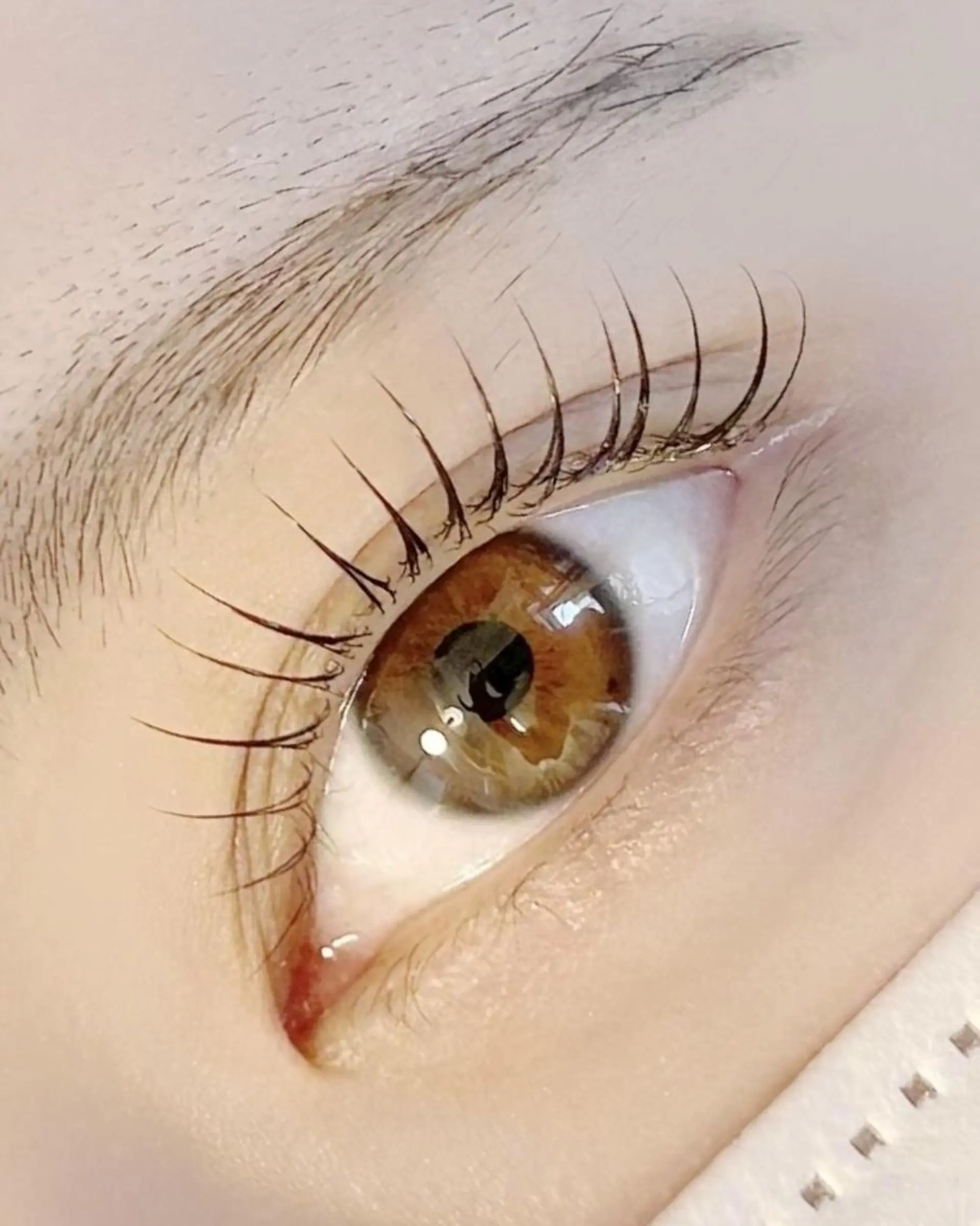 マツエク・マツパ マツパ lieu pré eyelashの眉毛・アイブロウイメージ