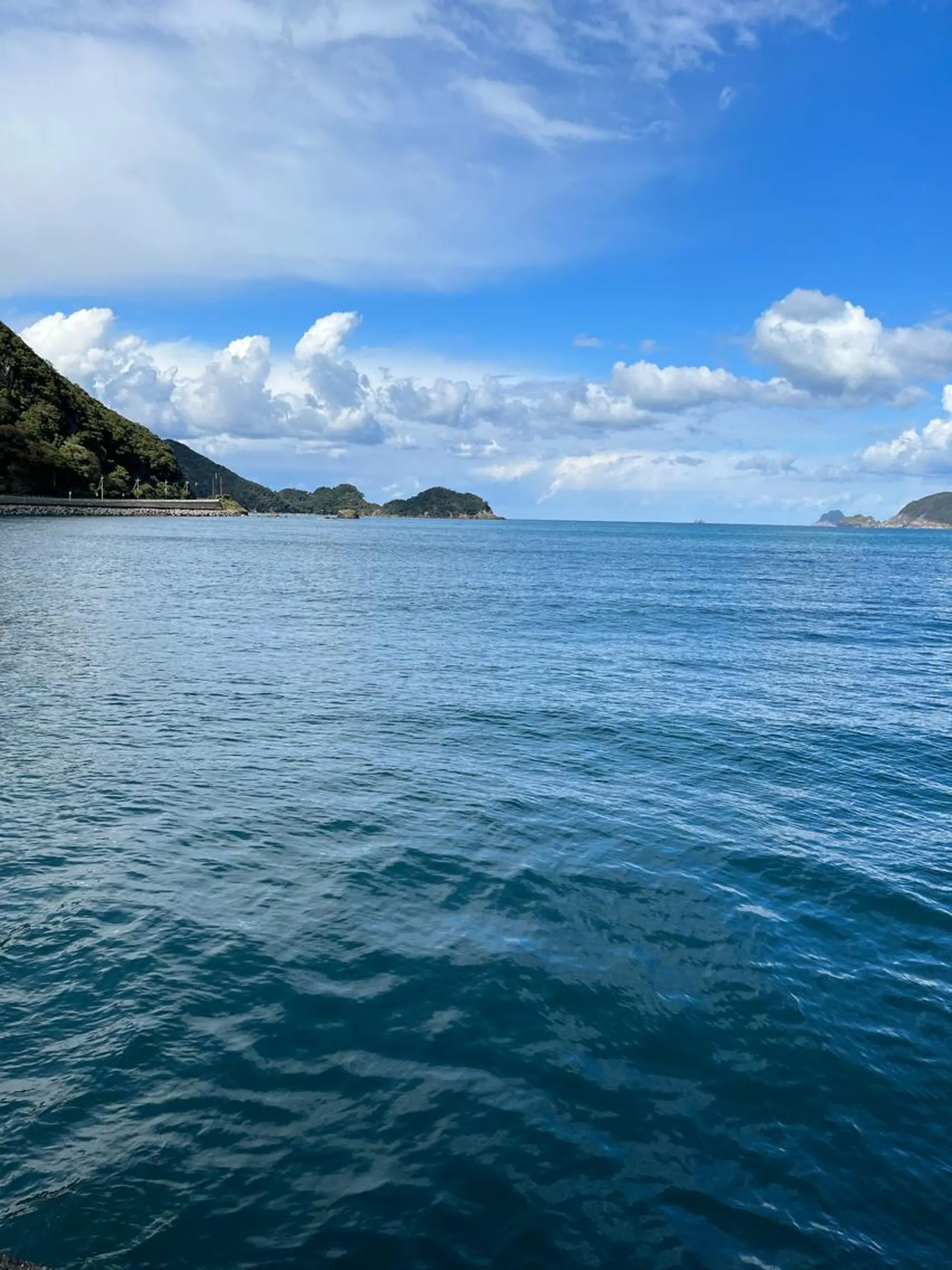 紙屋 隼人のヘアスタイル