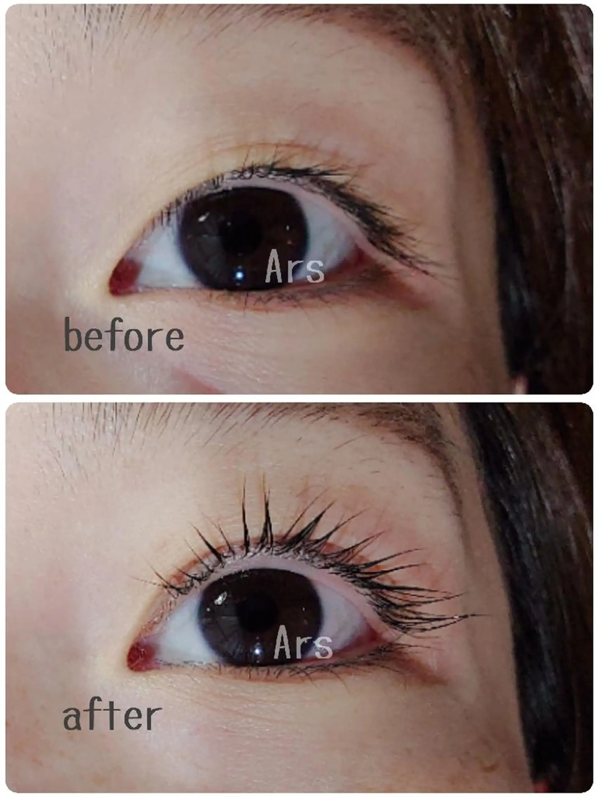 マツエク・マツパ アイリッドアップパーマ Ars      (ｱﾙｽ)のマツエク・マツパデザイン