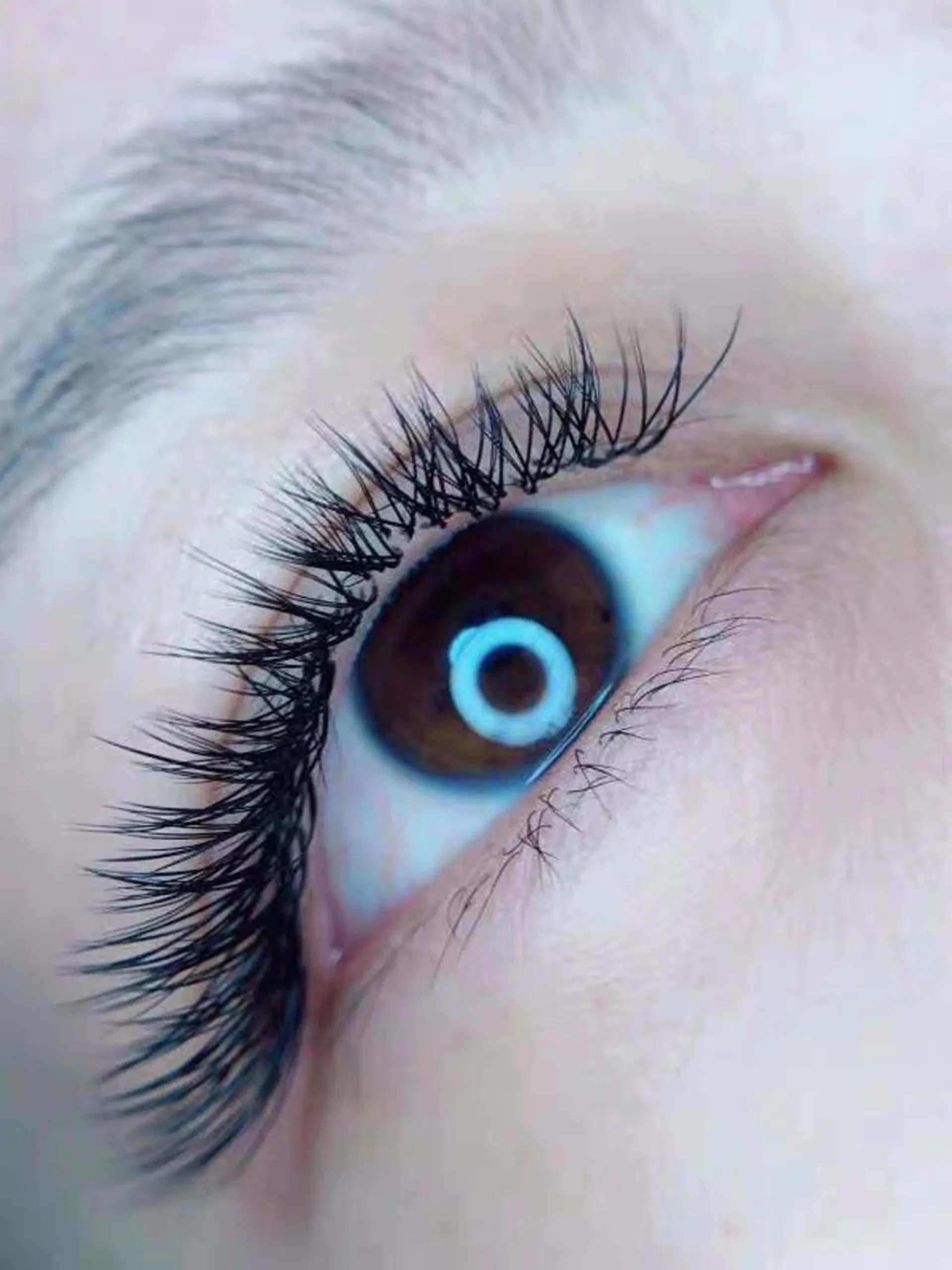 マツエク・マツパ Cute B e au t yのマツエク・マツパデザイン