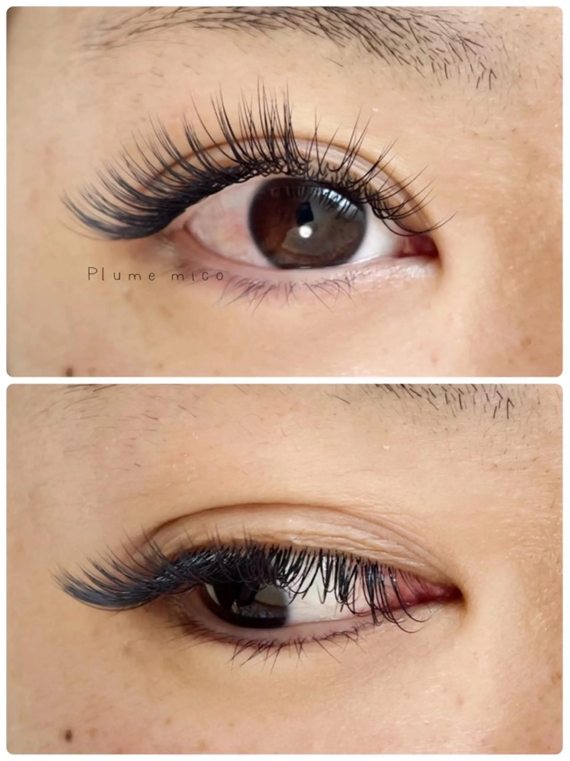 マツエク・マツパ マツエク Plume micoのマツエク・マツパデザイン