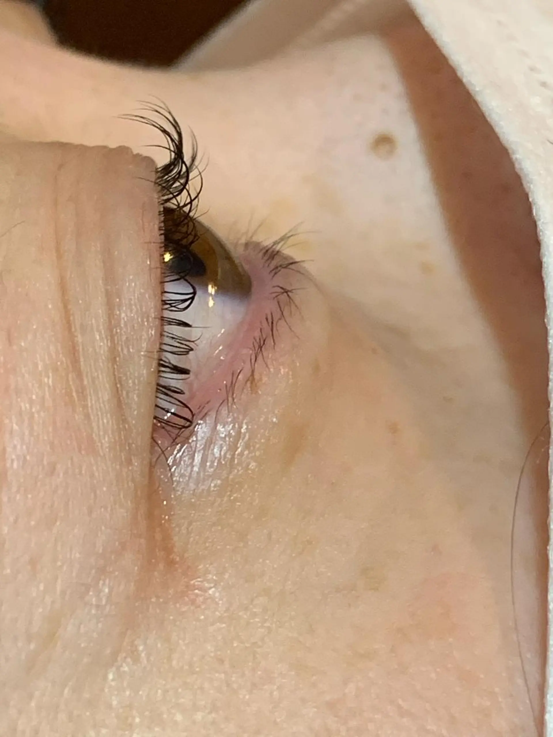 マツエク・マツパ il Anng ayumiのマツエク・マツパデザイン