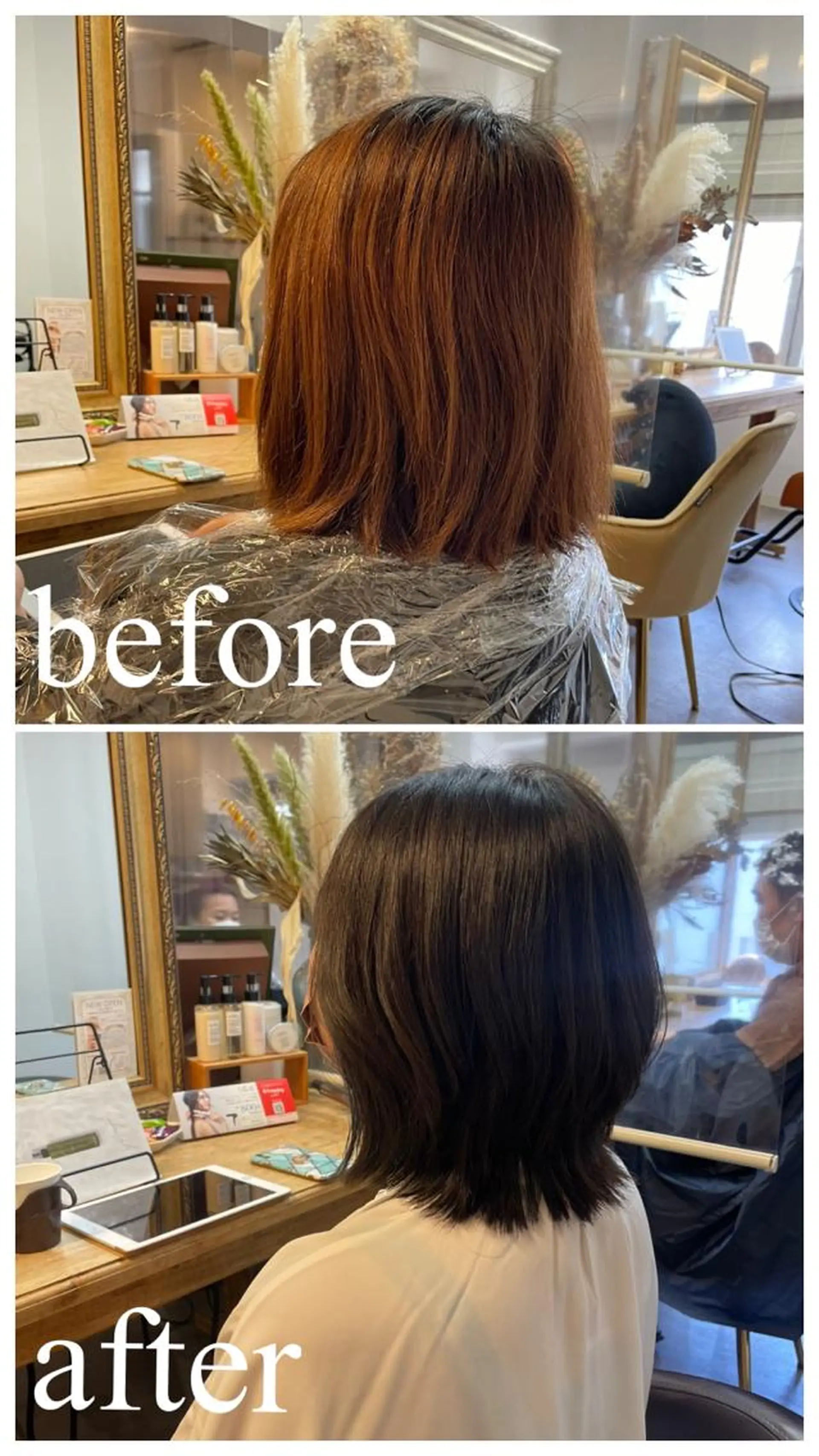 ショート カラー カット ヘアカラー トリートメント 英語ok sohee ソヒ 305号室のヘアスタイル