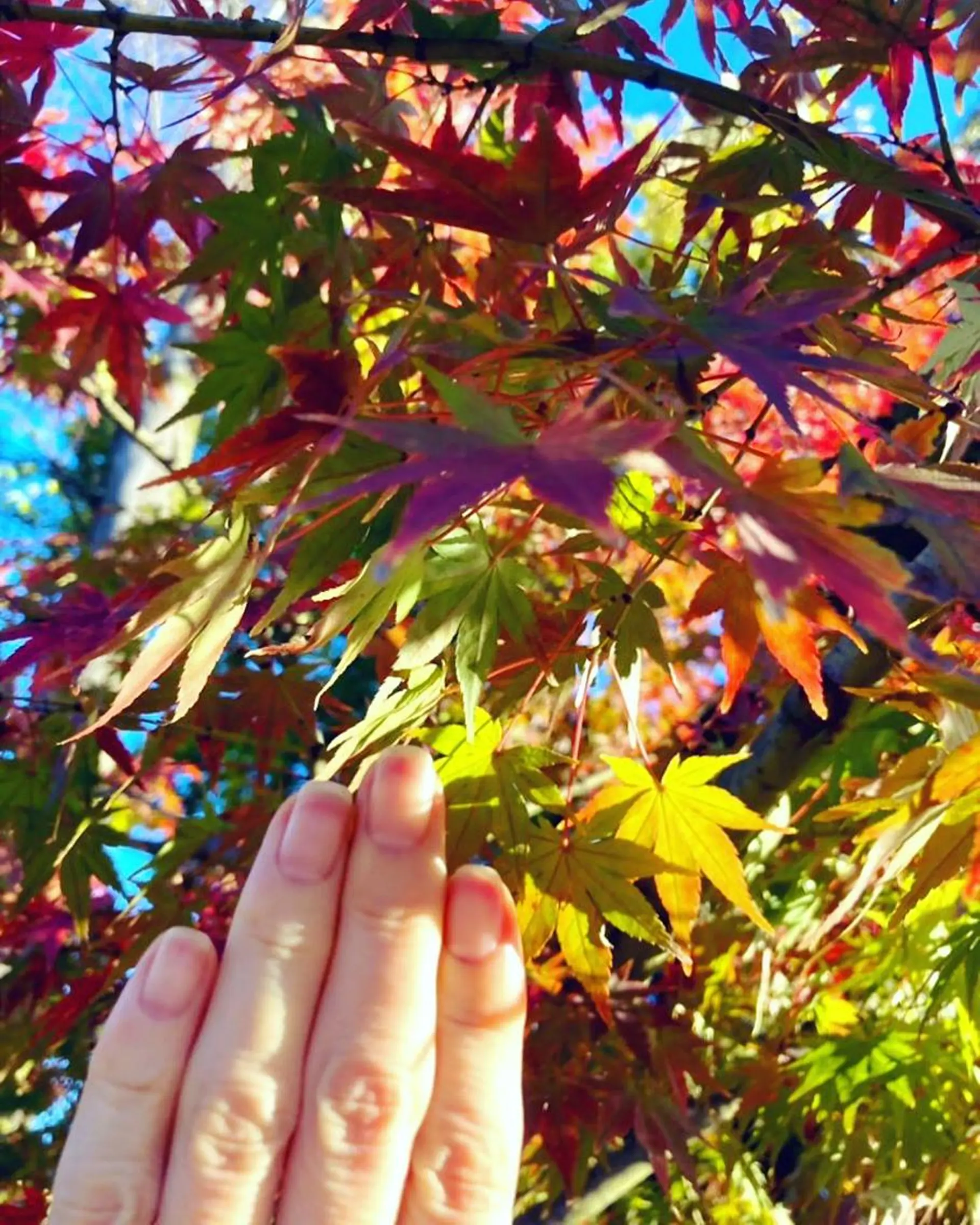 メンズ ネイル ハンドケア＆ネイルケア桃の木所属・ケアリスト🍀 マリユキのネイルデザイン