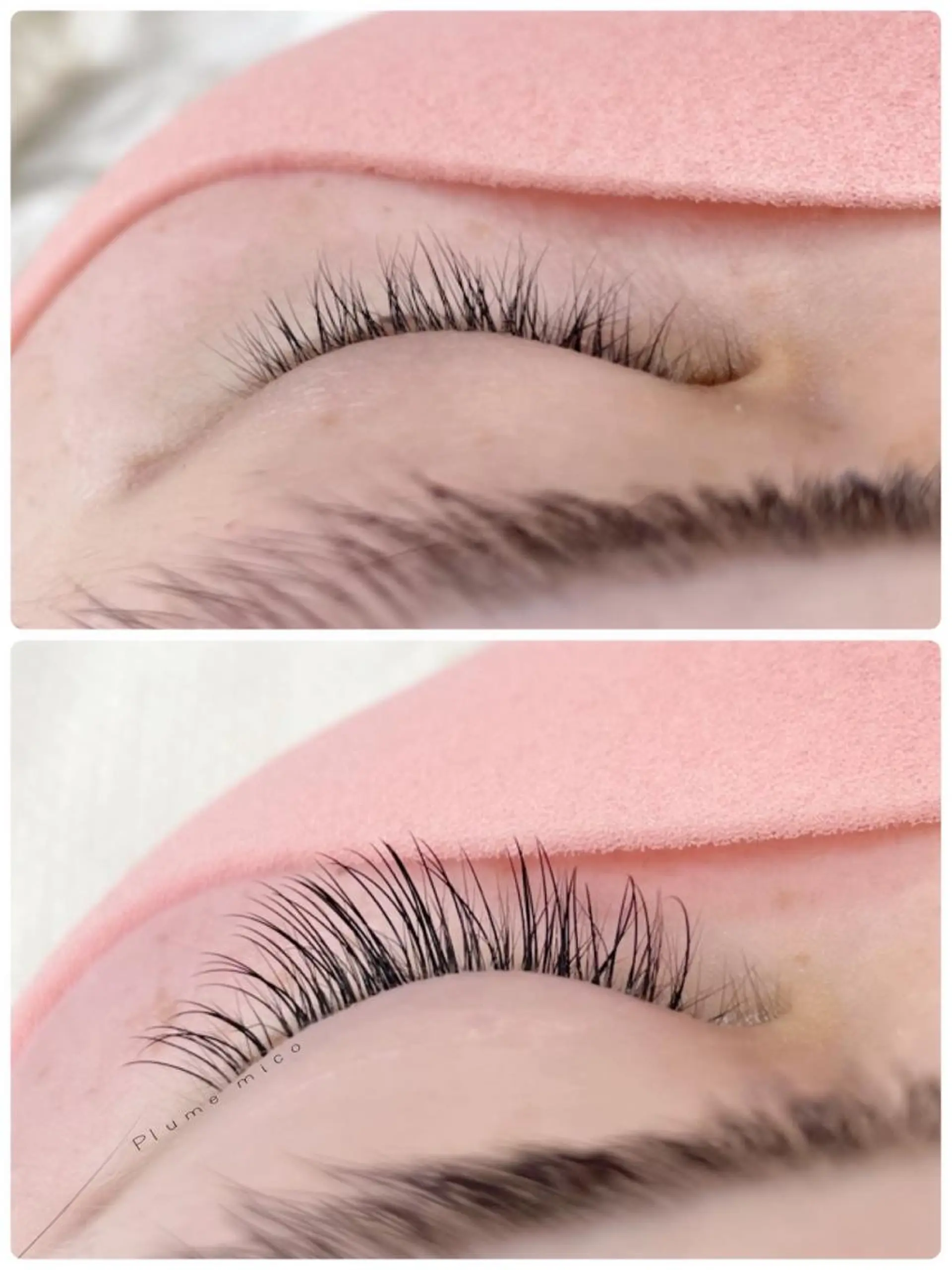 マツエク・マツパ キュート Dカール マツエク Plume micoのマツエク・マツパデザイン