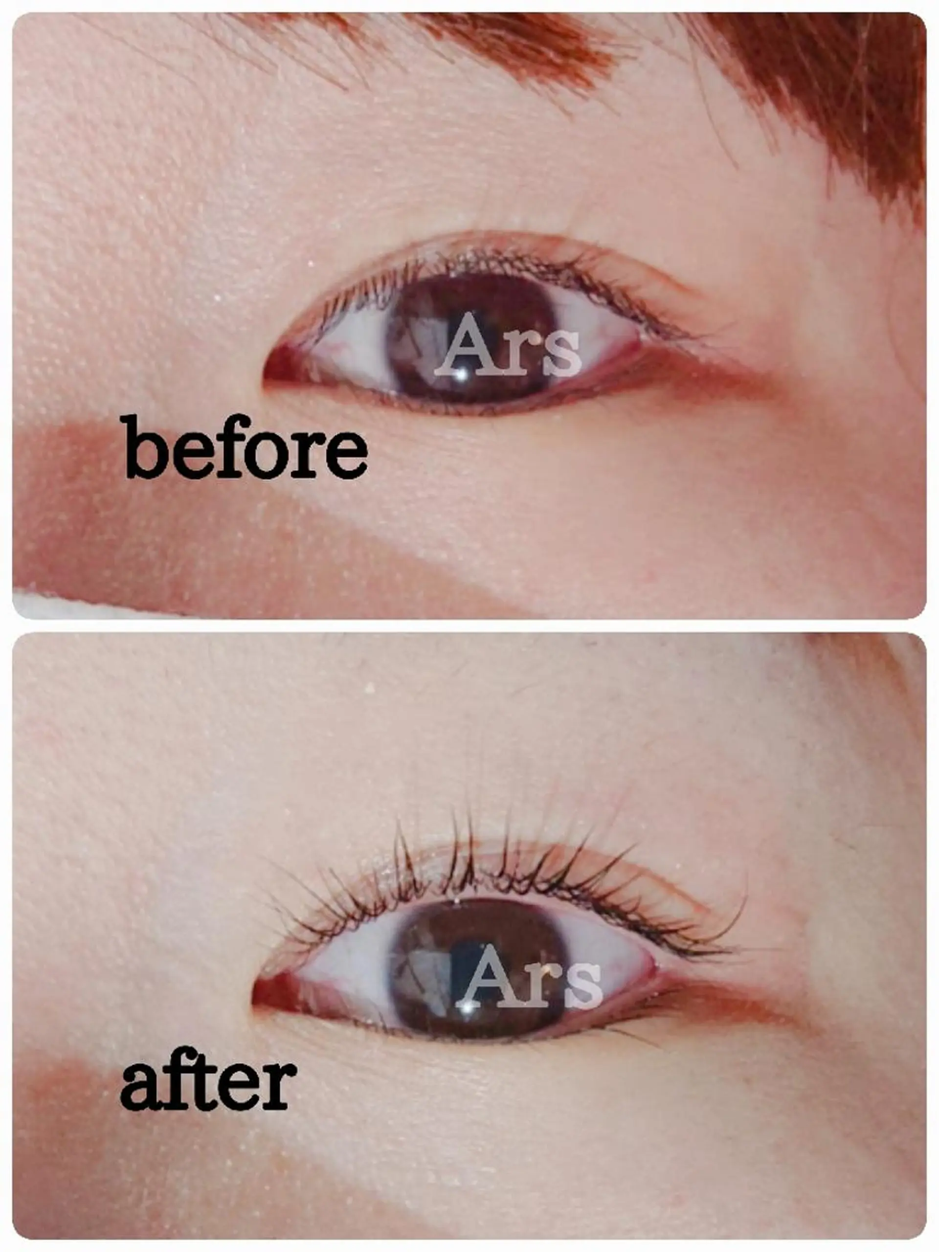 マツエク・マツパ アイリッドアップパーマ Ars      (ｱﾙｽ)のマツエク・マツパデザイン