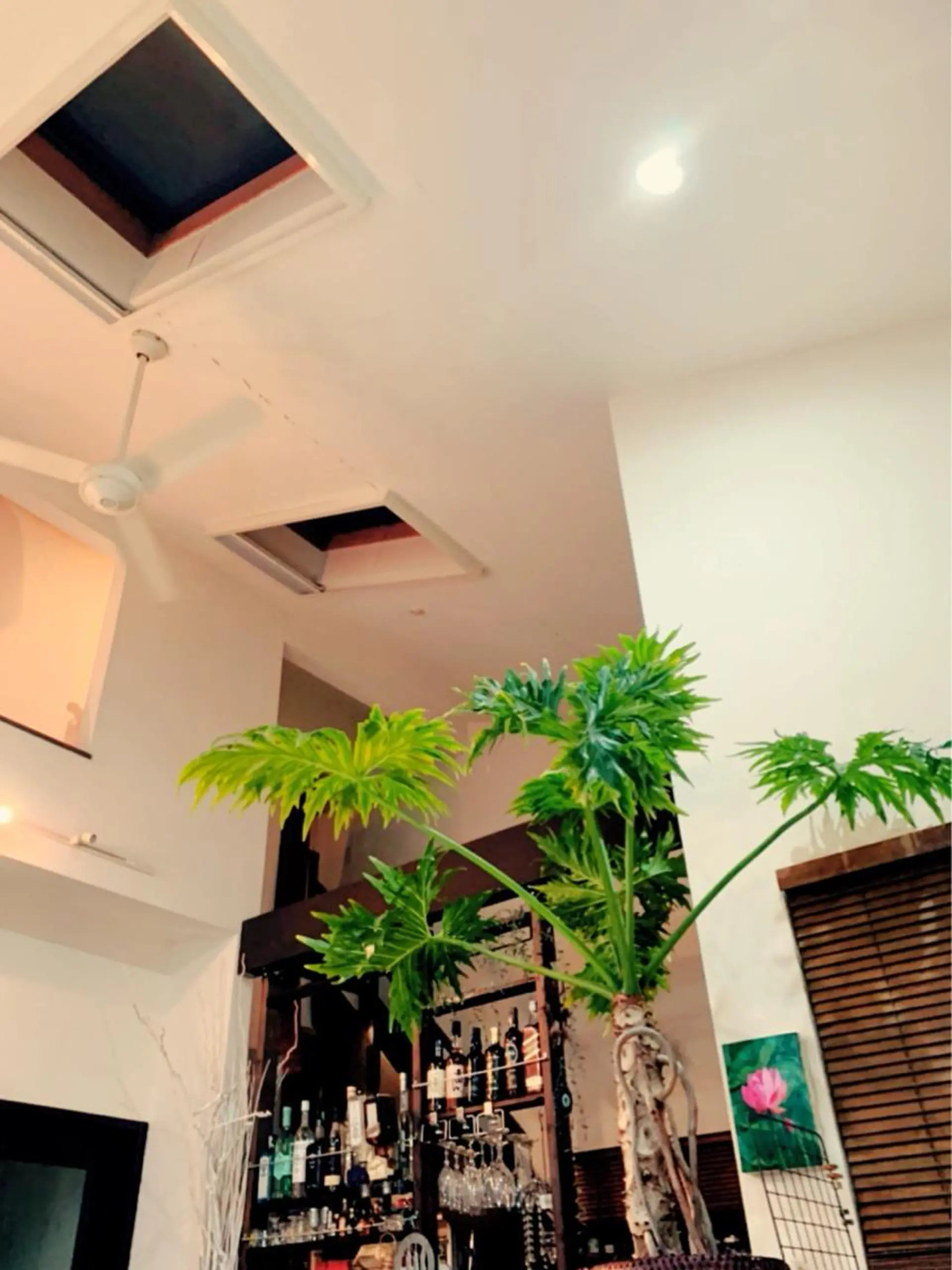 なちゅら .simのエステ・リラクイメージ