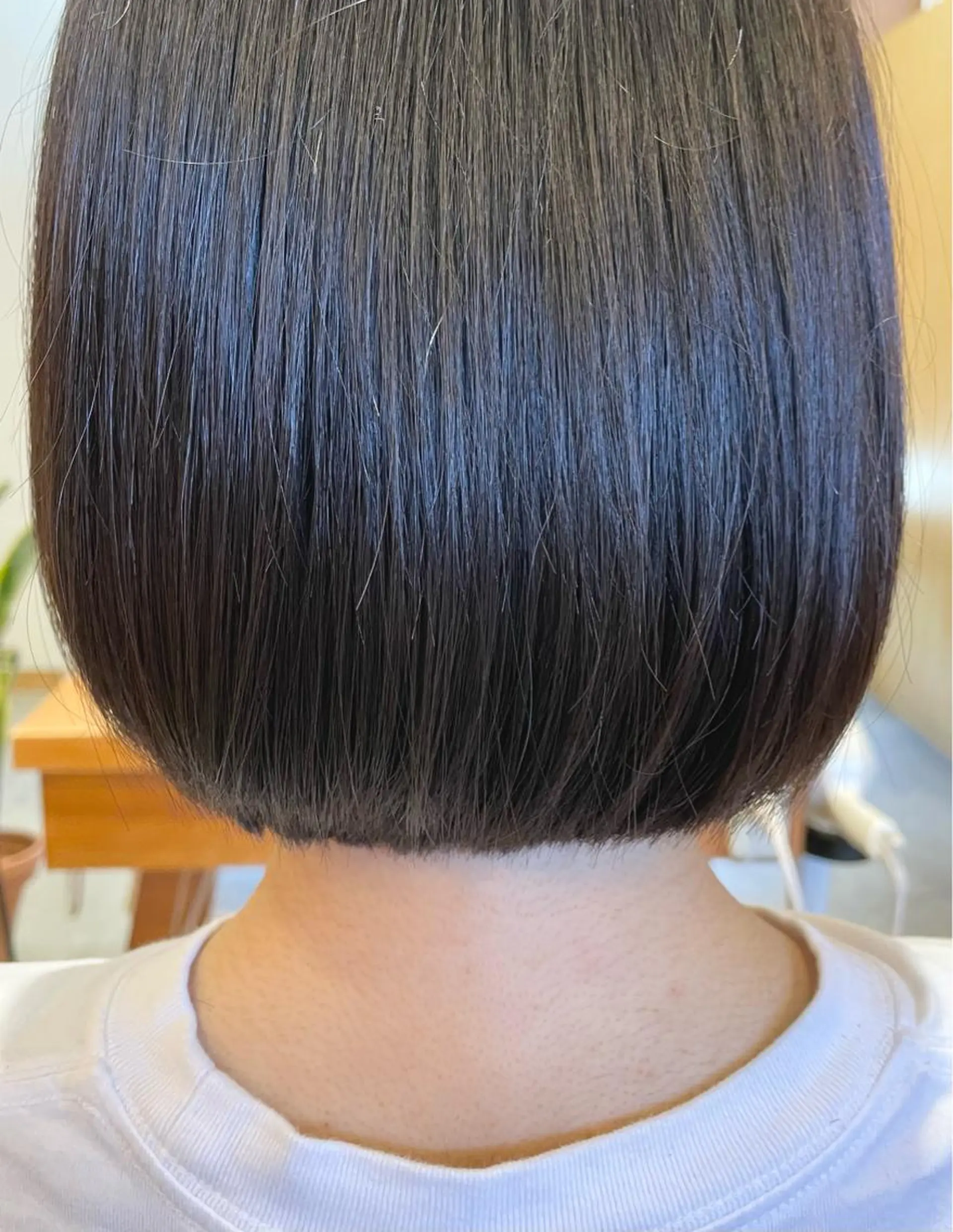 ミディアム 佐藤 大征のヘアスタイル