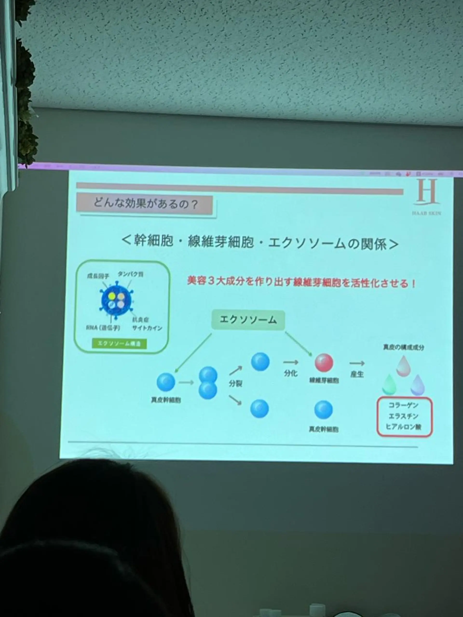 山元 光絵のエステ・リラクイメージ